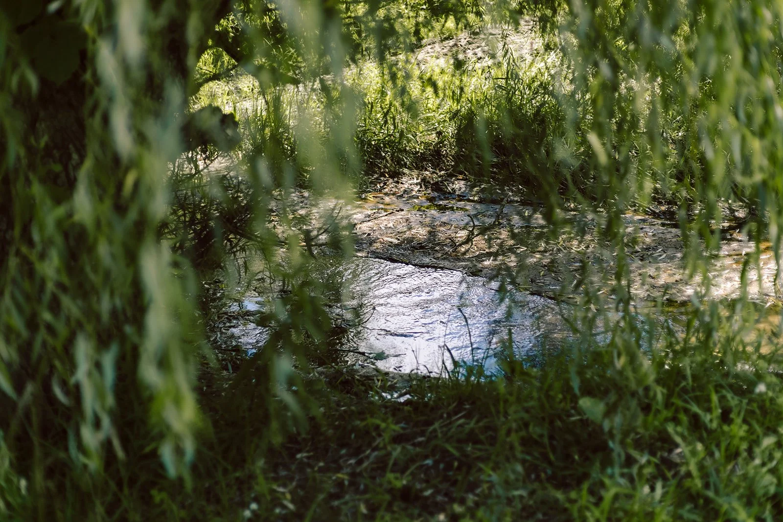 Golden_Hour_Retreat_2025_016_websize.jpg