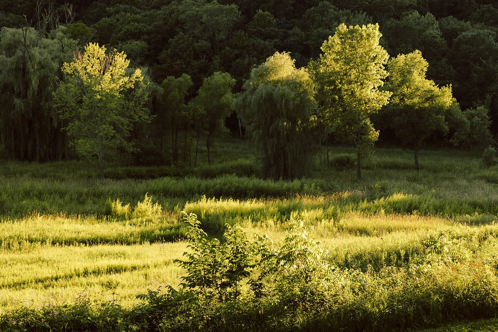 Golden_Hour_Retreat_2025_057_websize.jpg