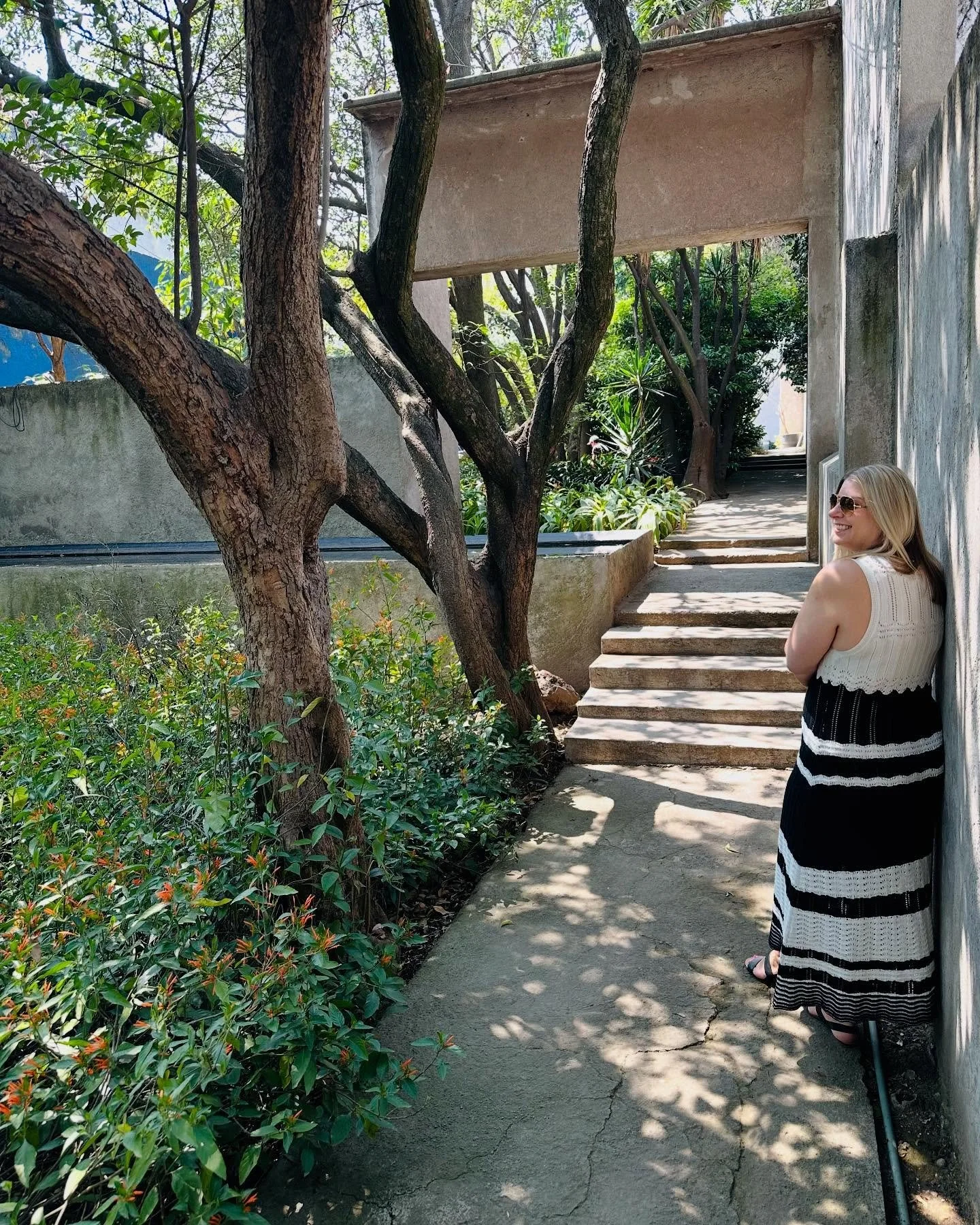 Mexico City on my mind today. Endlessly inspired by the vibrancy of the city and all the leafy greens abound!

#designertravels #designinspiration
#jardin17 #luisbarrag&aacute;n #fsmexico
#animalmasaryk #hotelpari&aacute;n