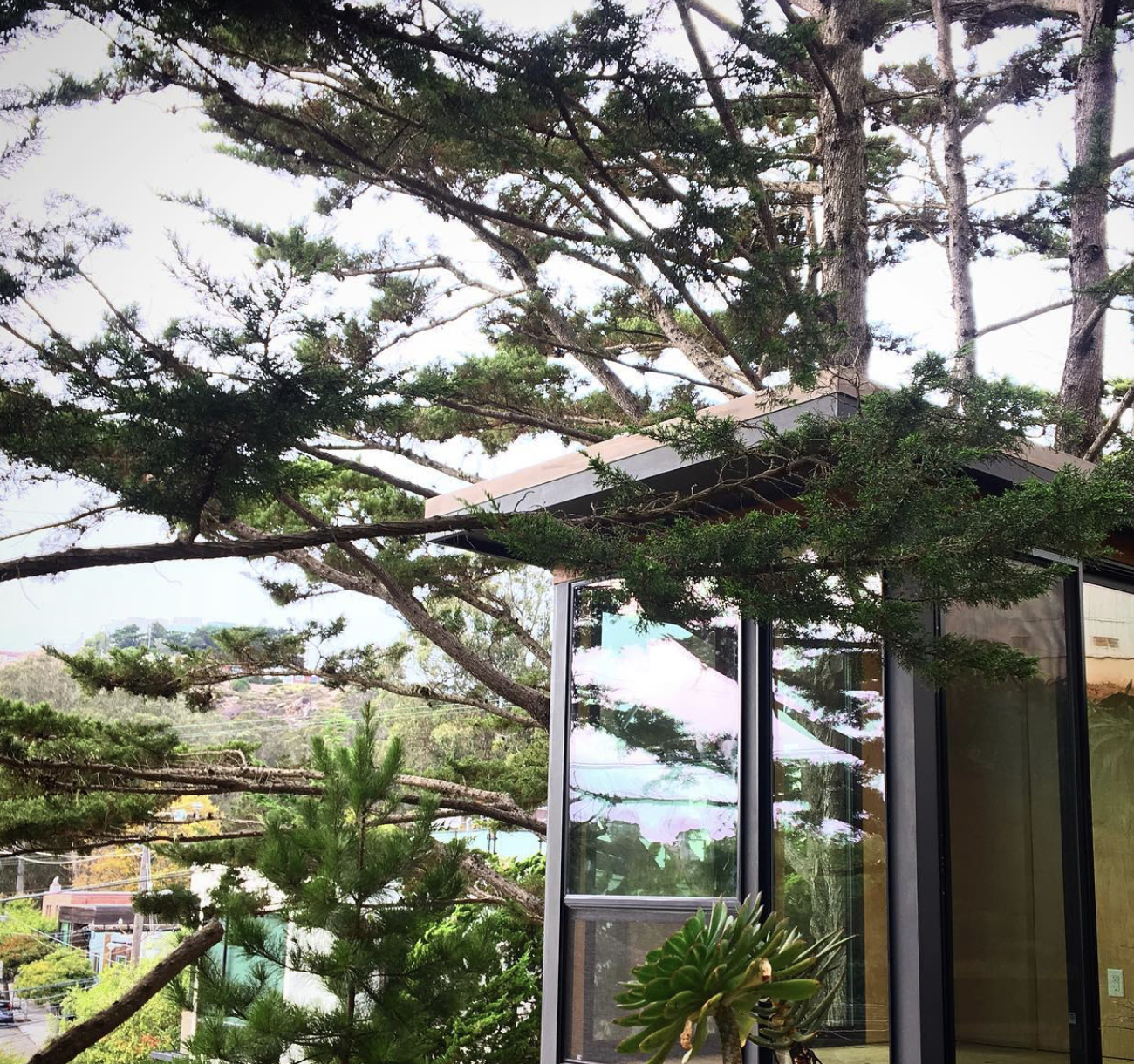 Screenshot 2026-03-16 at 11.14.11 AM.png