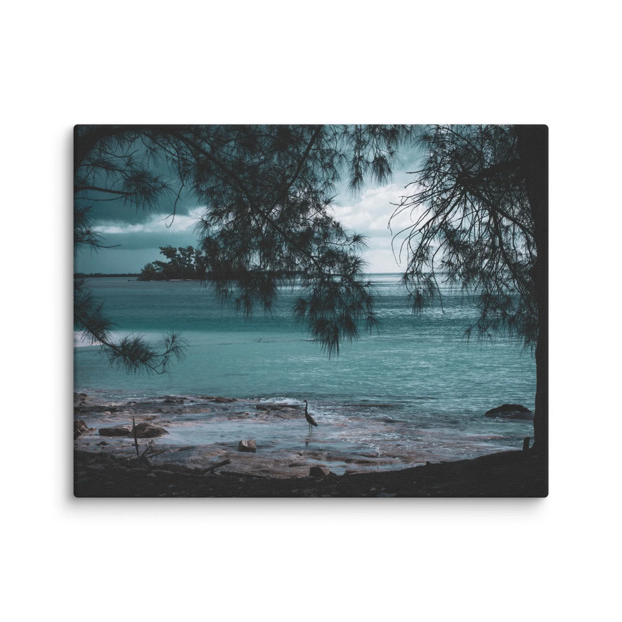 A tranquil beach scene viewed through tree branches, with a bird standing on rocks near the shoreline and calm ocean waters in the background.