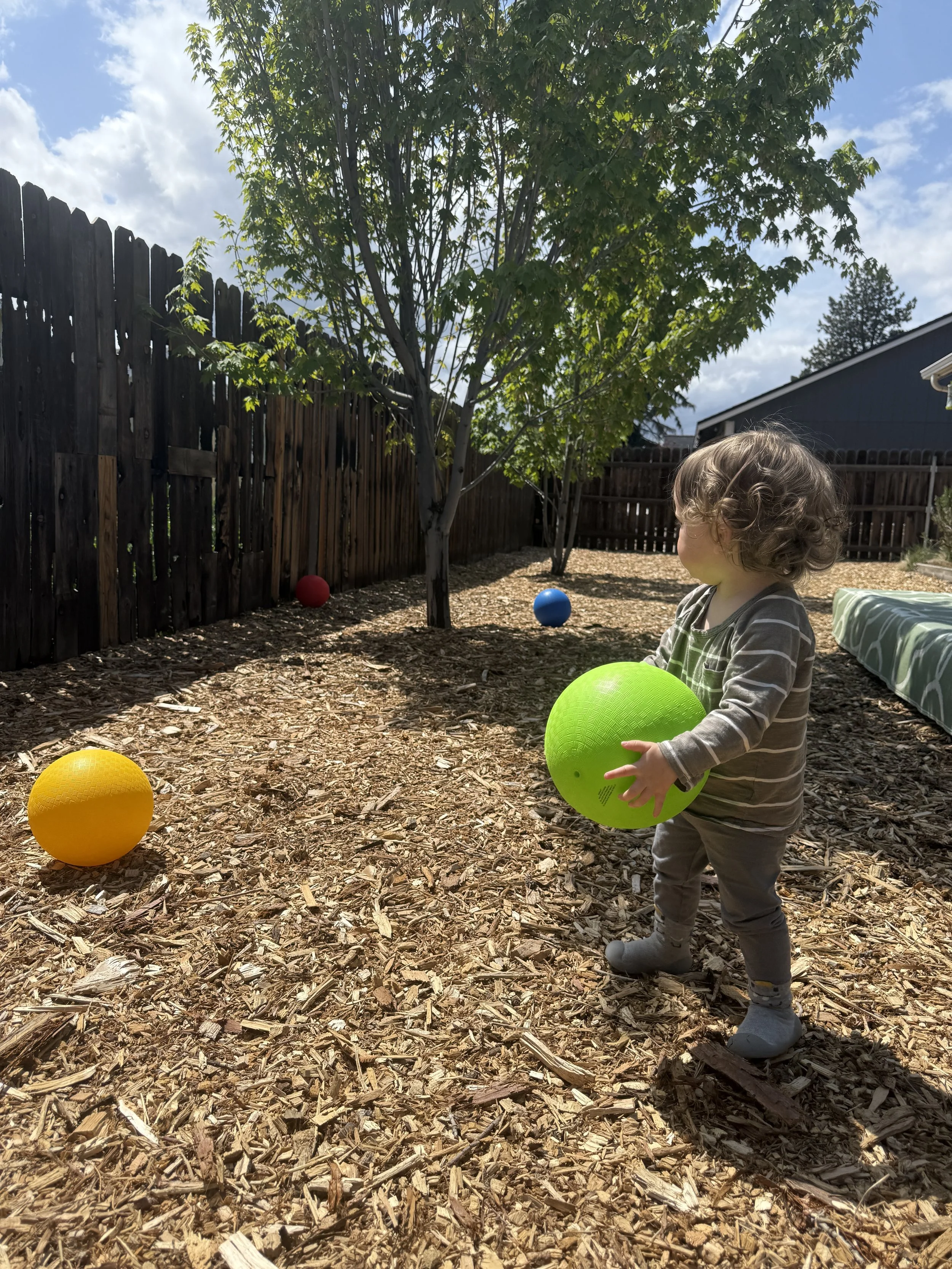 A young child standing outdoors in a backyard, holding a green ball, surrounded by colorful balls on the ground, with a tree and wooden fence in the background.