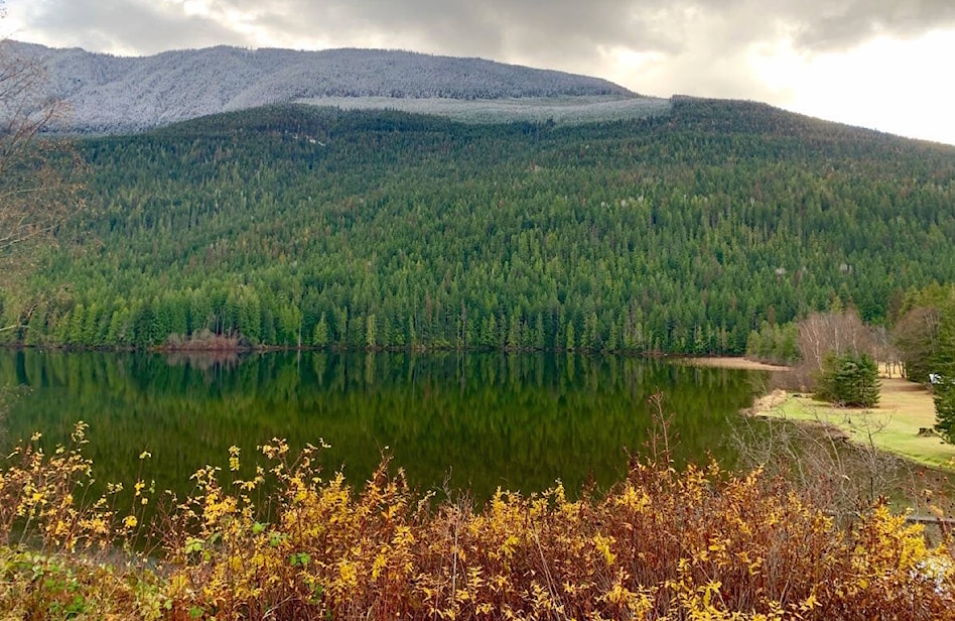 Retired forester shares health benefits of walking through the forests of Nakusp