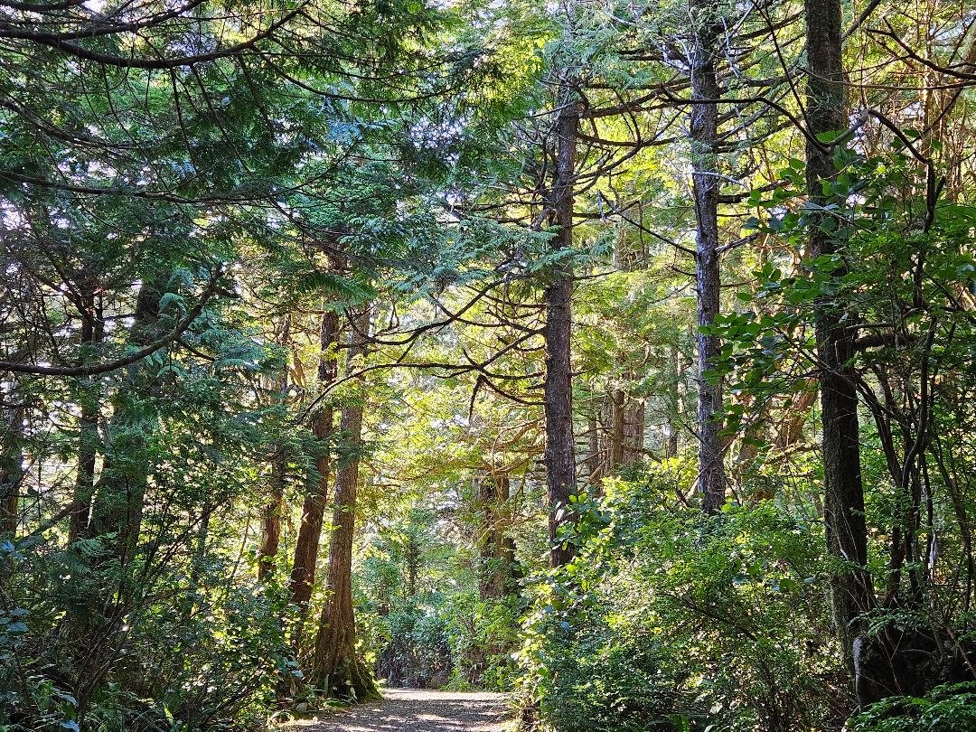 Why a Nature Connection Practice?