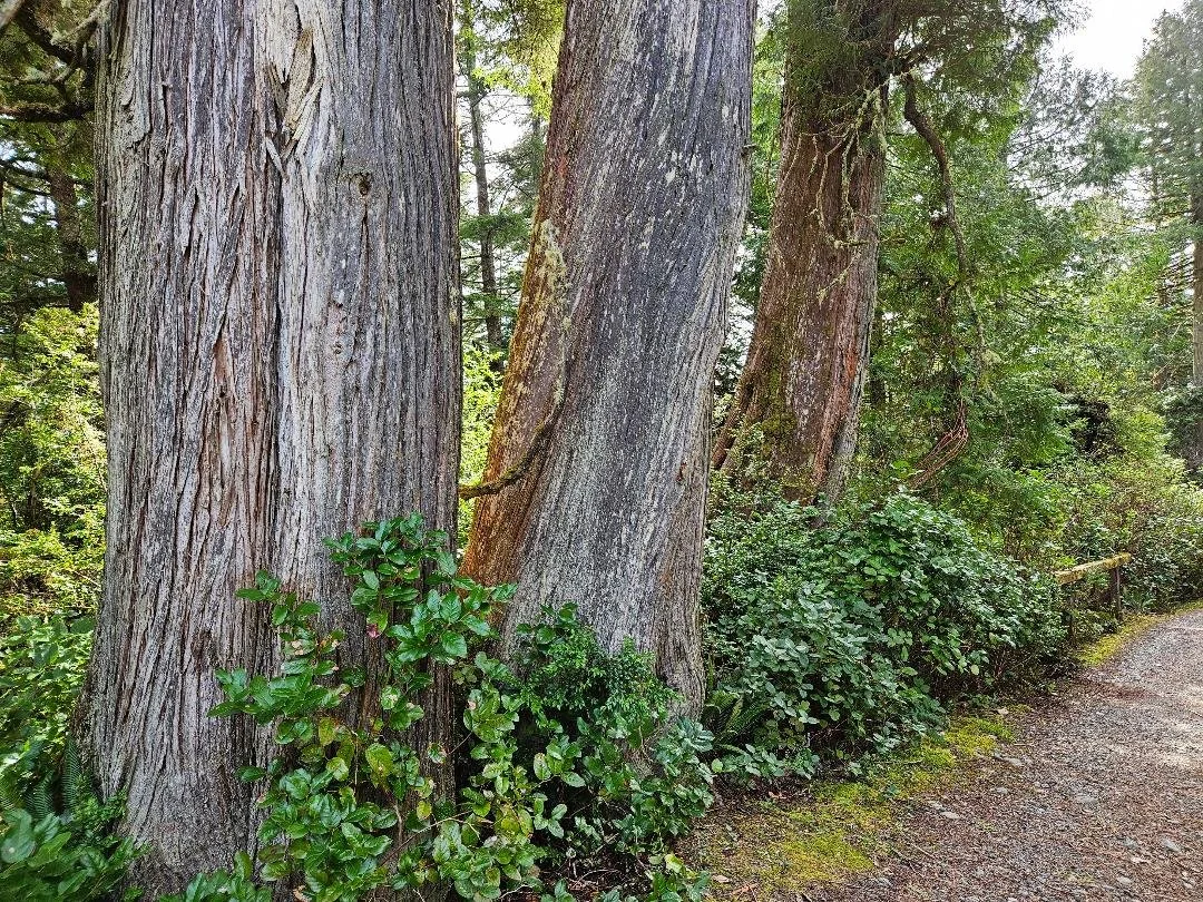 How we at Naturally Resilient think about the evolution of this work and why we provide Dual Certification