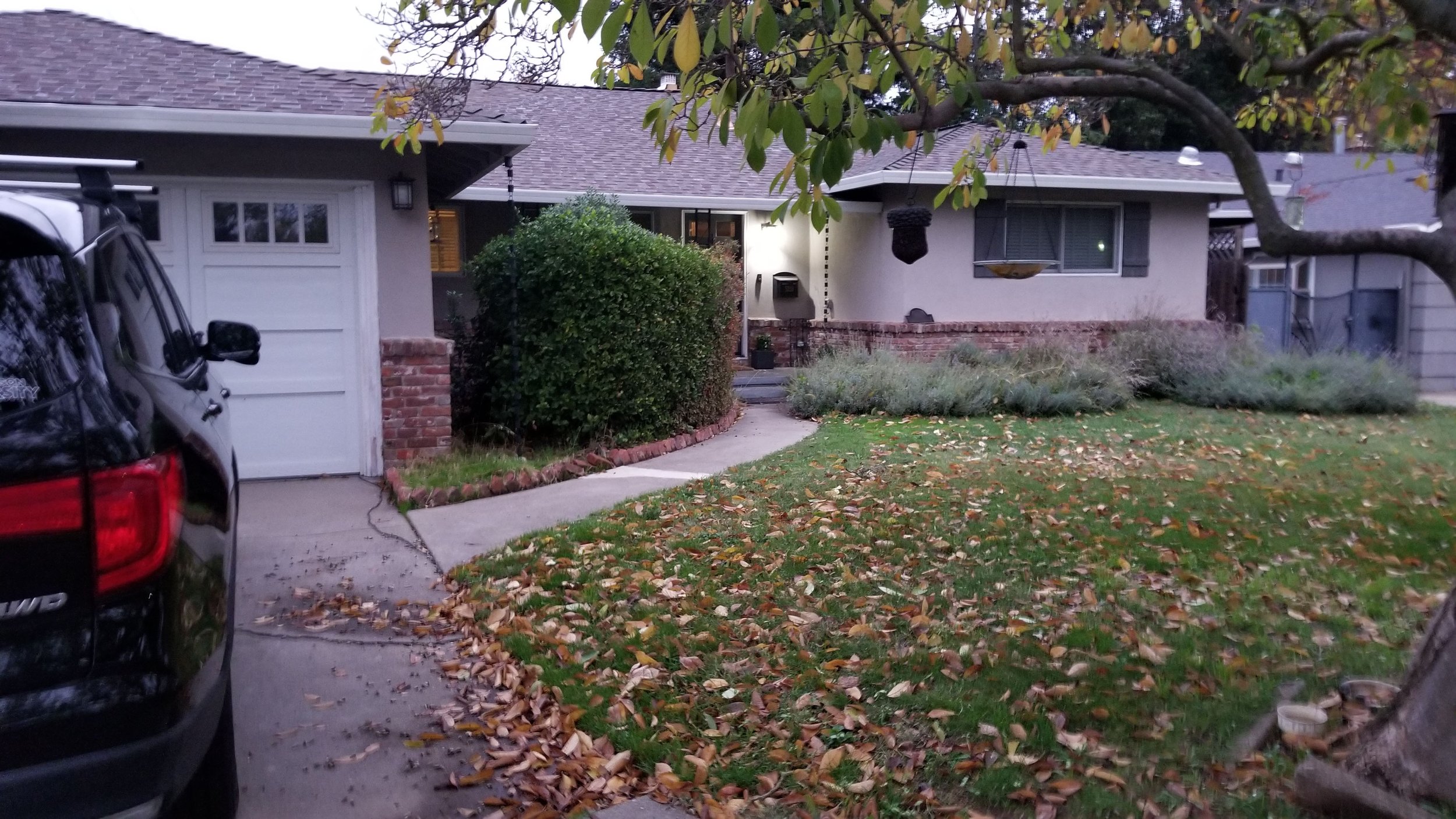 20211109_170448 copy.jpg