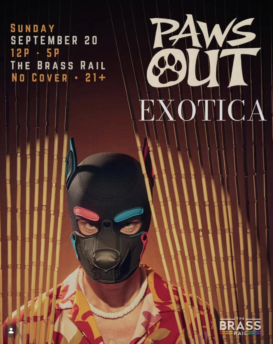 Paws_Out_Exotica