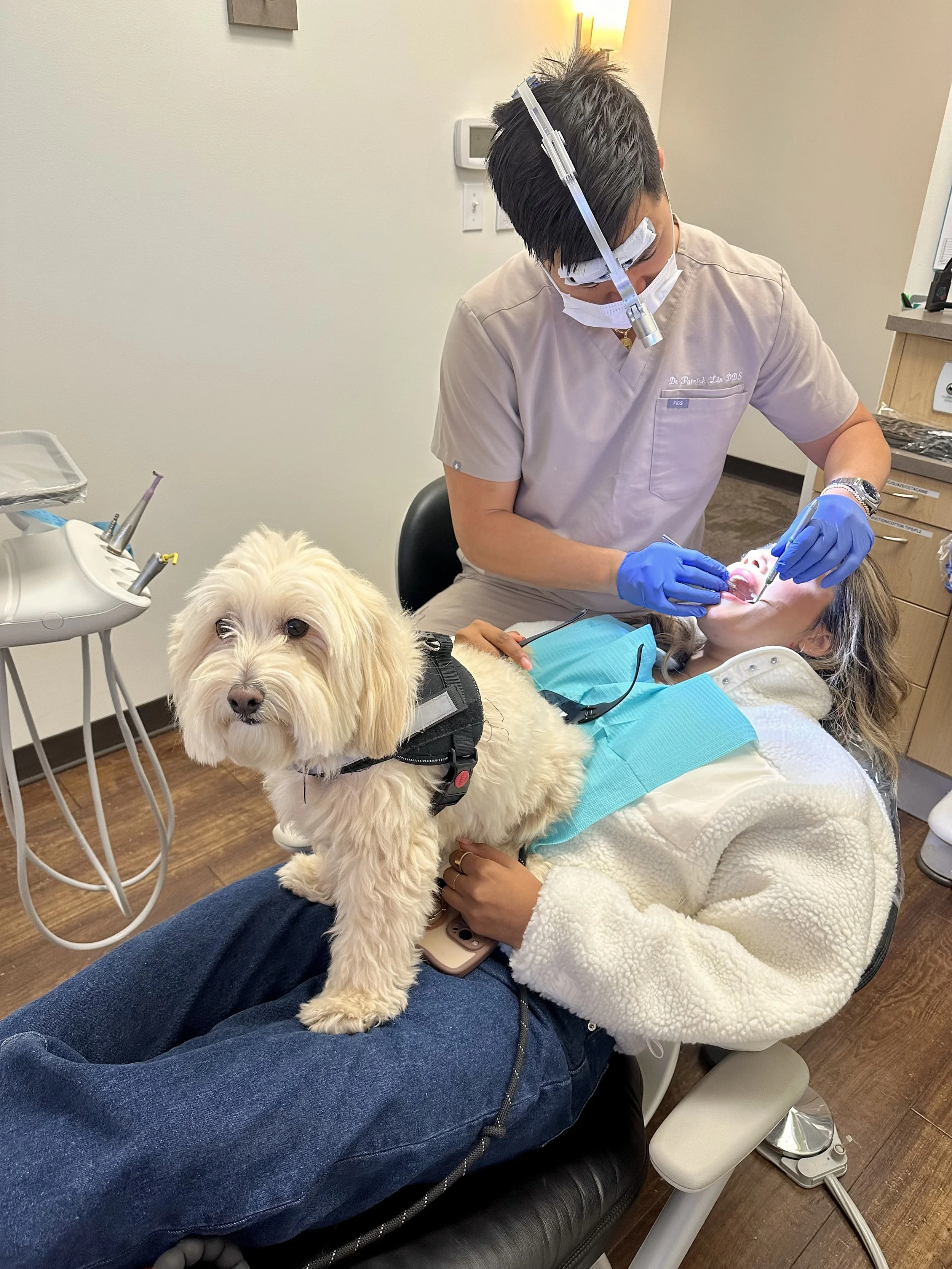 Emergency Dentist in Edmonds, WA: What to Do When Dental Pain Can't Wait