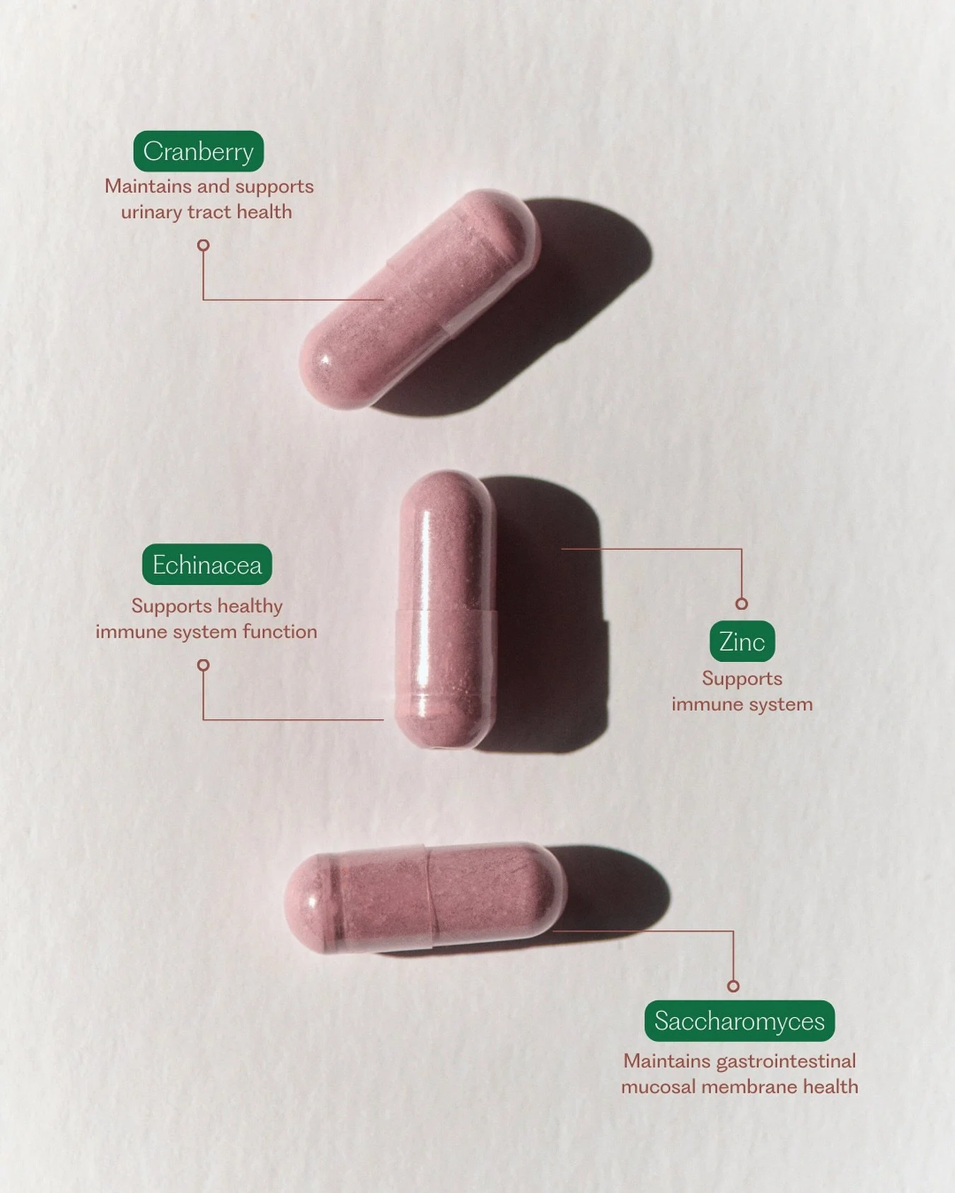 Inside every capsule of Take Care of U&hellip;

We&rsquo;ve carefully selected ingredients that work together to support your urinary tract, immune system, and overall wellbeing - all in one easy-to-take daily supplement. 

Cranberry: rich in PACs, k