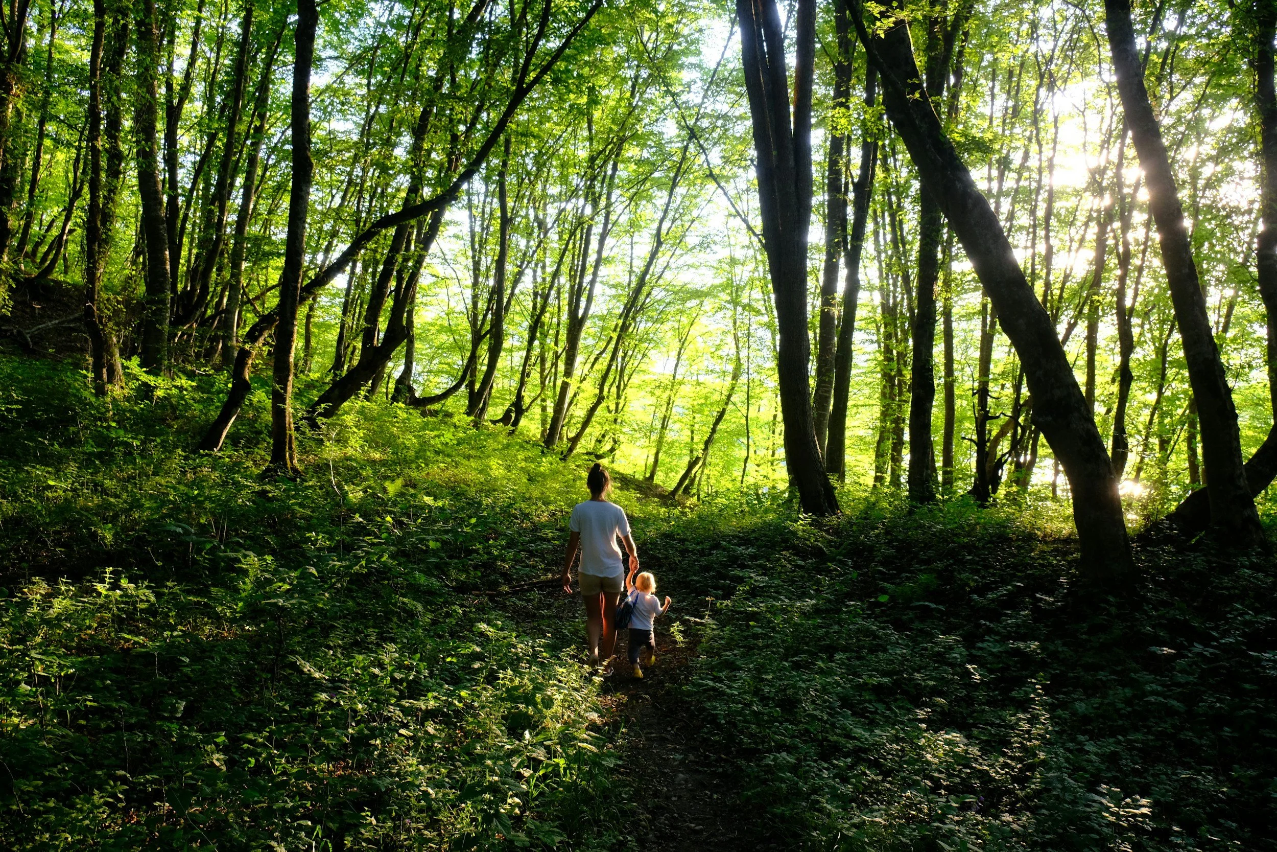 A woman and a child walking through a lush green forest during daylight, sunlight filtering through the trees.