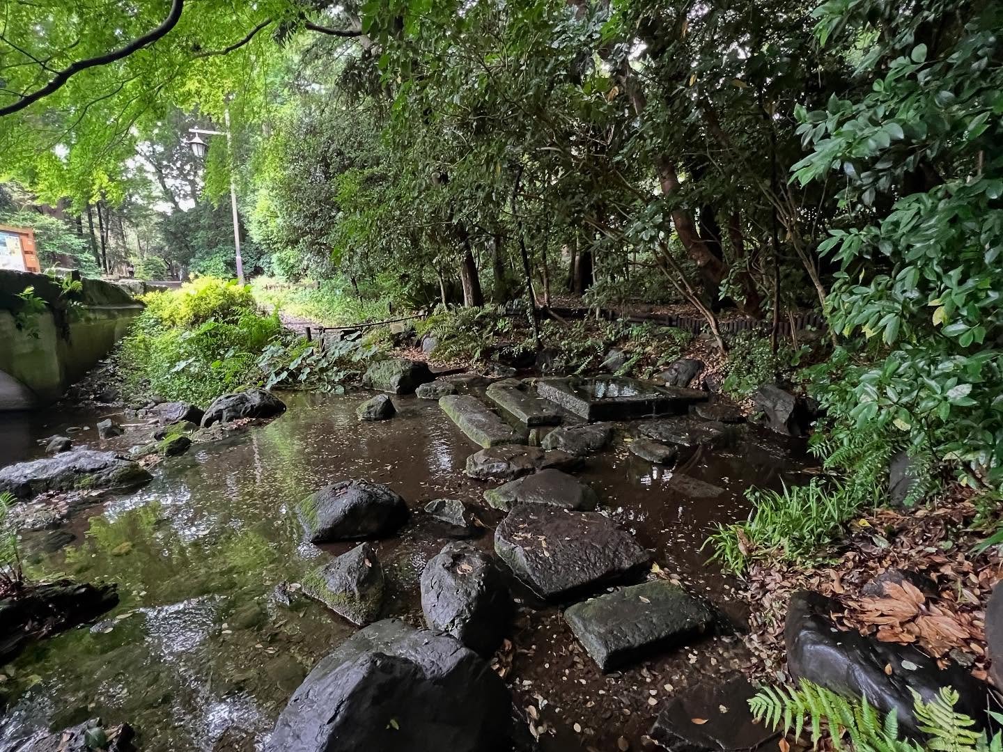 Every step intentional.  #mindfulness #mindfulliving #stopandthink