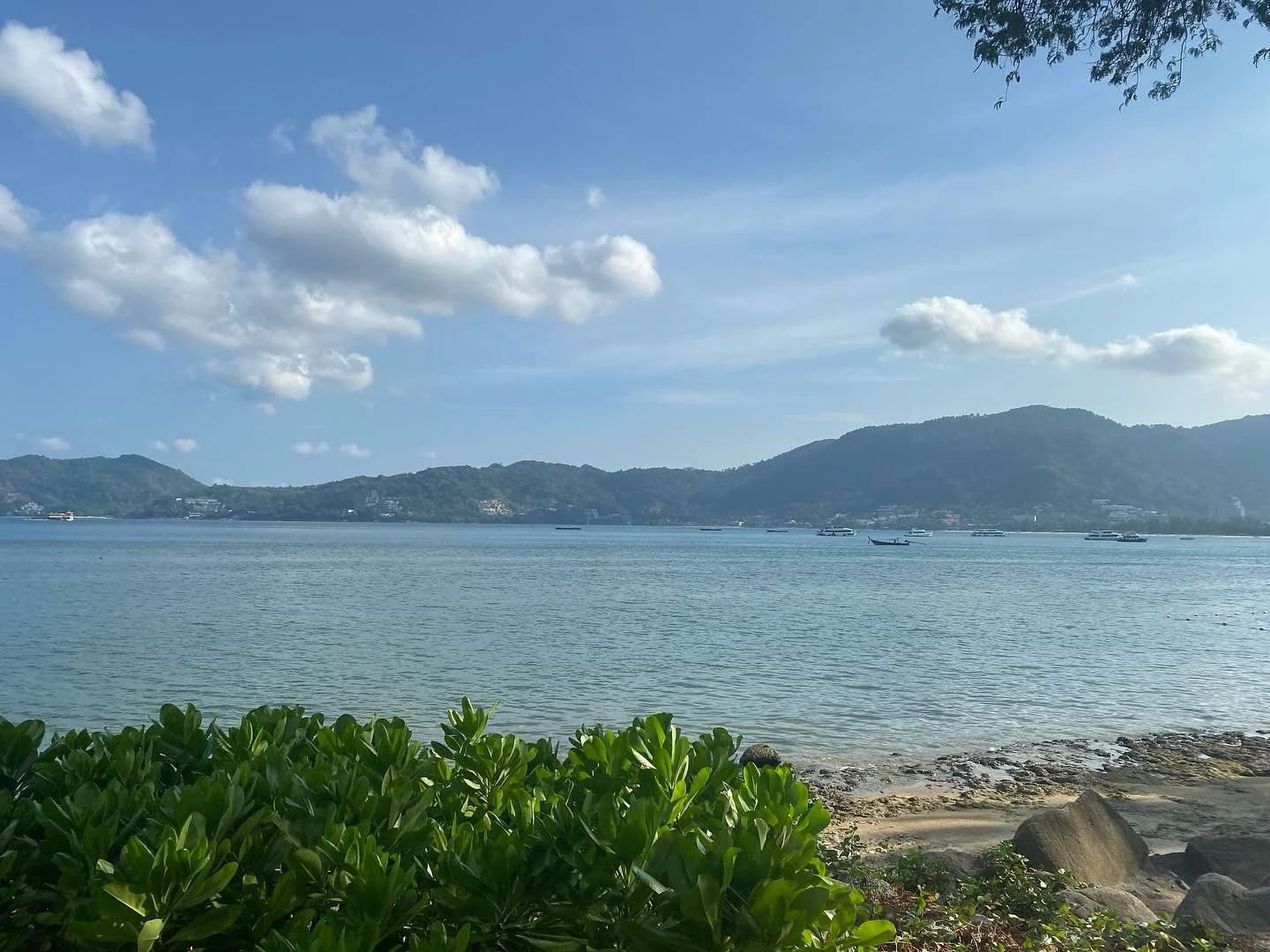 Warming you up on the winter&rsquo;s day&hellip; morning in Thailand
The air is warm, the light is golden, and the world wakes up slowly.
Mornings here don&rsquo;t rush&mdash;they unfold.
Grateful for the stillness, the beauty, and the way Thailand g