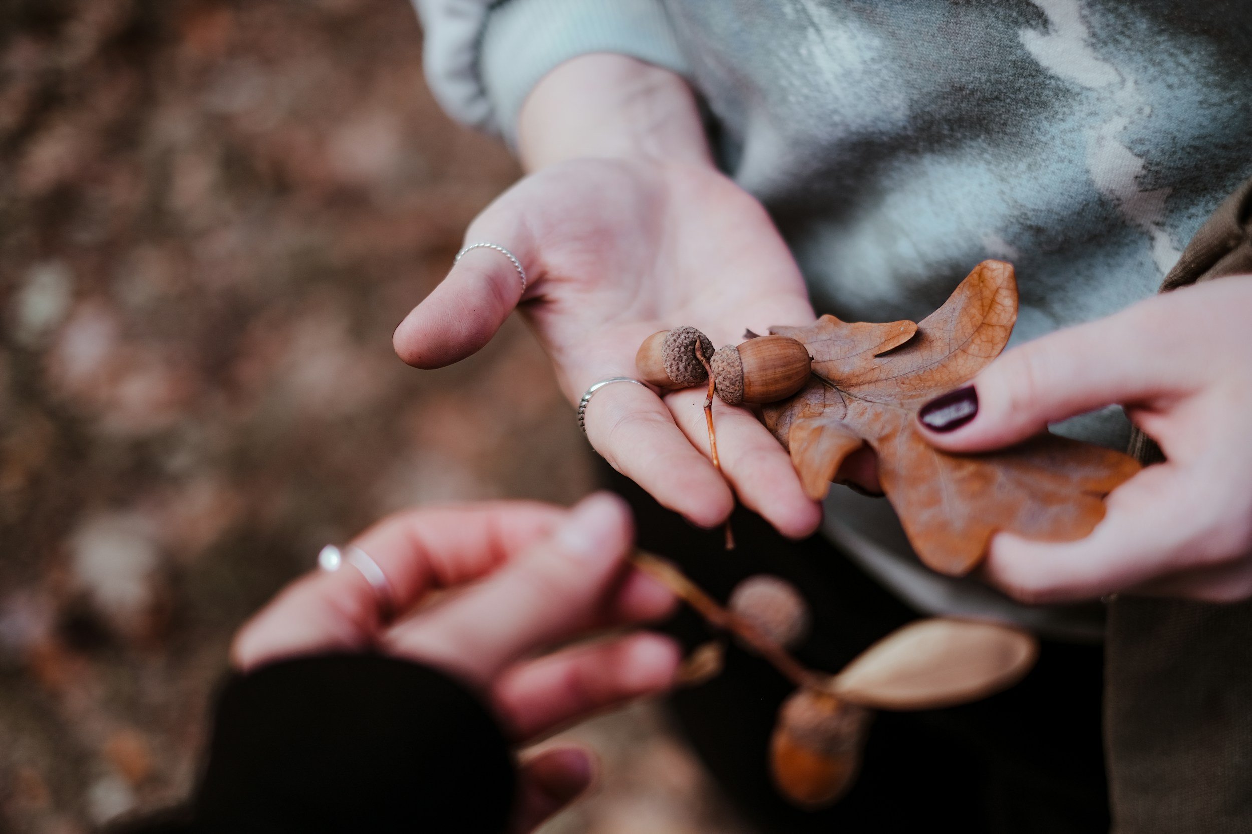 Forest bathing increases adolescent mental well-being and connection to nature.