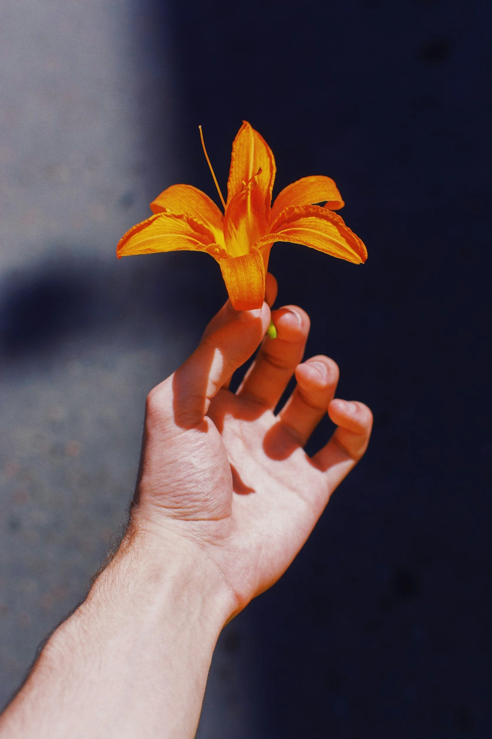 Effects of Shinrin-yoku on health promotion and disease prevention