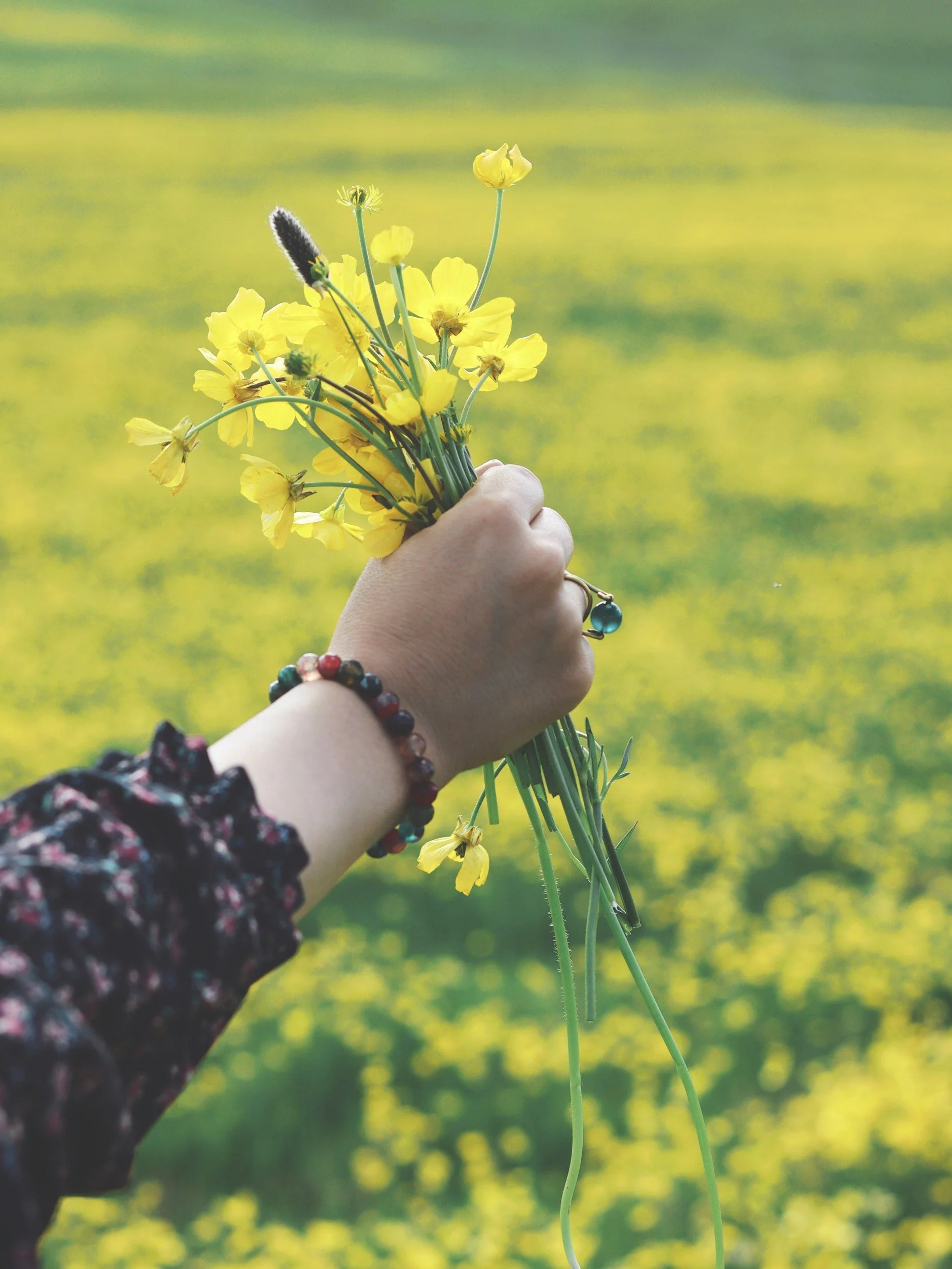 Effect of forest bathing on physiological and psychological responses in young males.