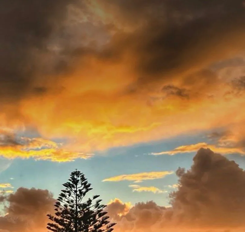 Truly magical! #naturecolours