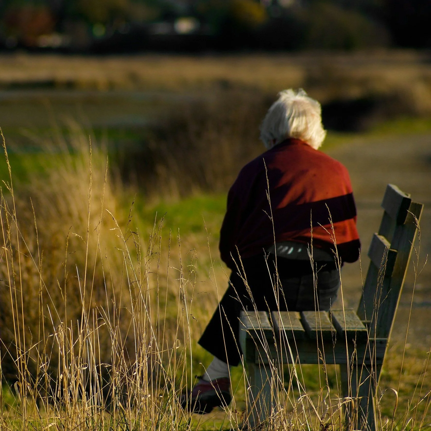 aged care wellbeing Melbourne, dementia nature therapy, sensory aged care activities	Nature Programs for Aged Care in Melbourne | Share Nature	Specialised nature and sensory programs for aged care residents in Melbourne. Gentle, inclusive experiences