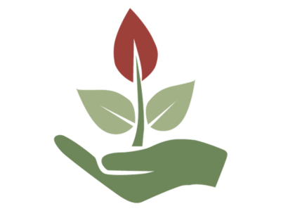 A hand holding a small plant with two leaves and a red flower at the top.