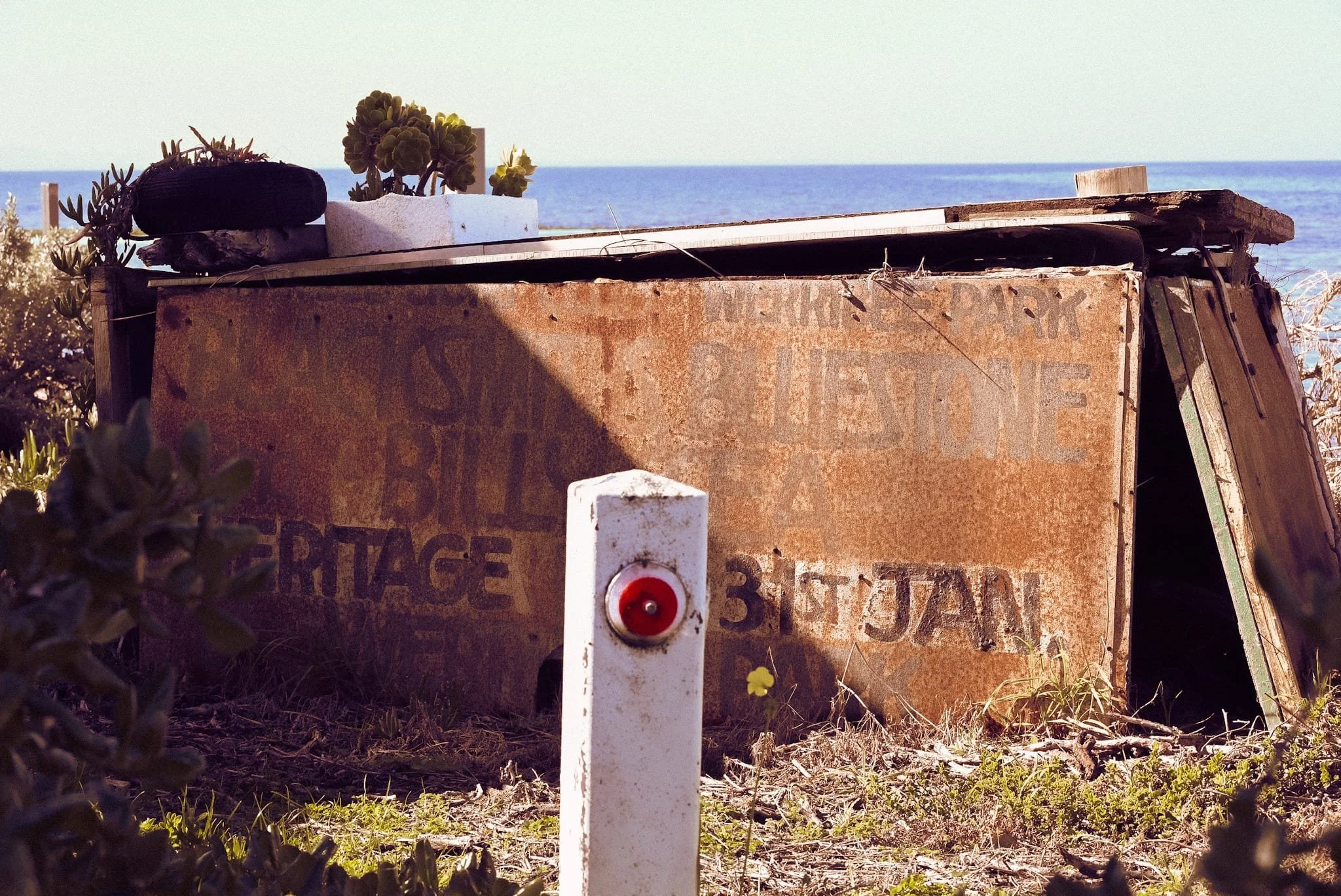 WhatsApp Image 2025-08-14 at 2.10.24 PM.jpeg