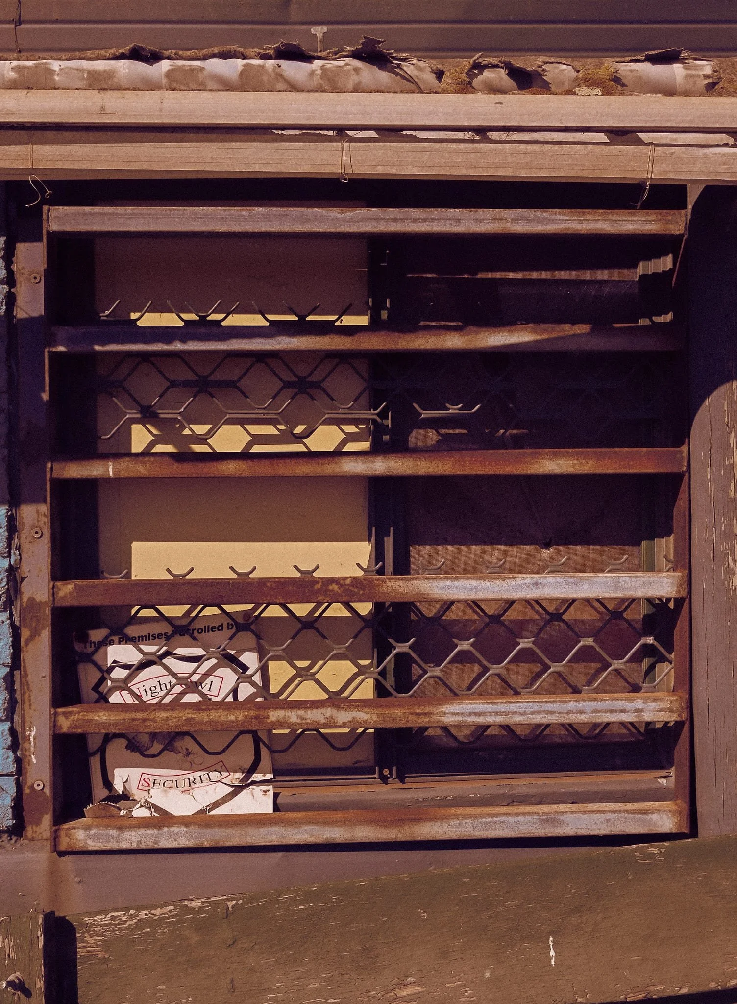 WhatsApp Image 2025-08-14 at 2.10.27 PM.jpeg