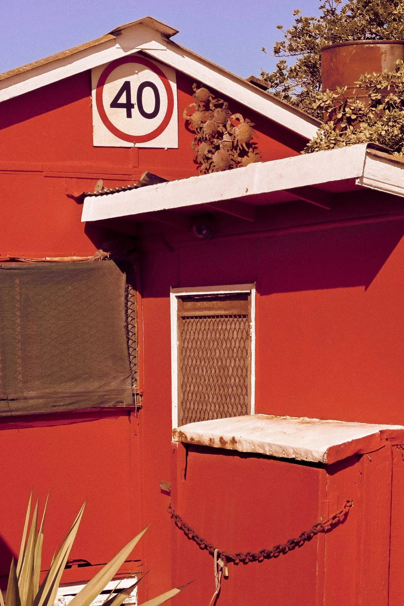 WhatsApp Image 2025-08-14 at 2.10.28 PM (2).jpeg