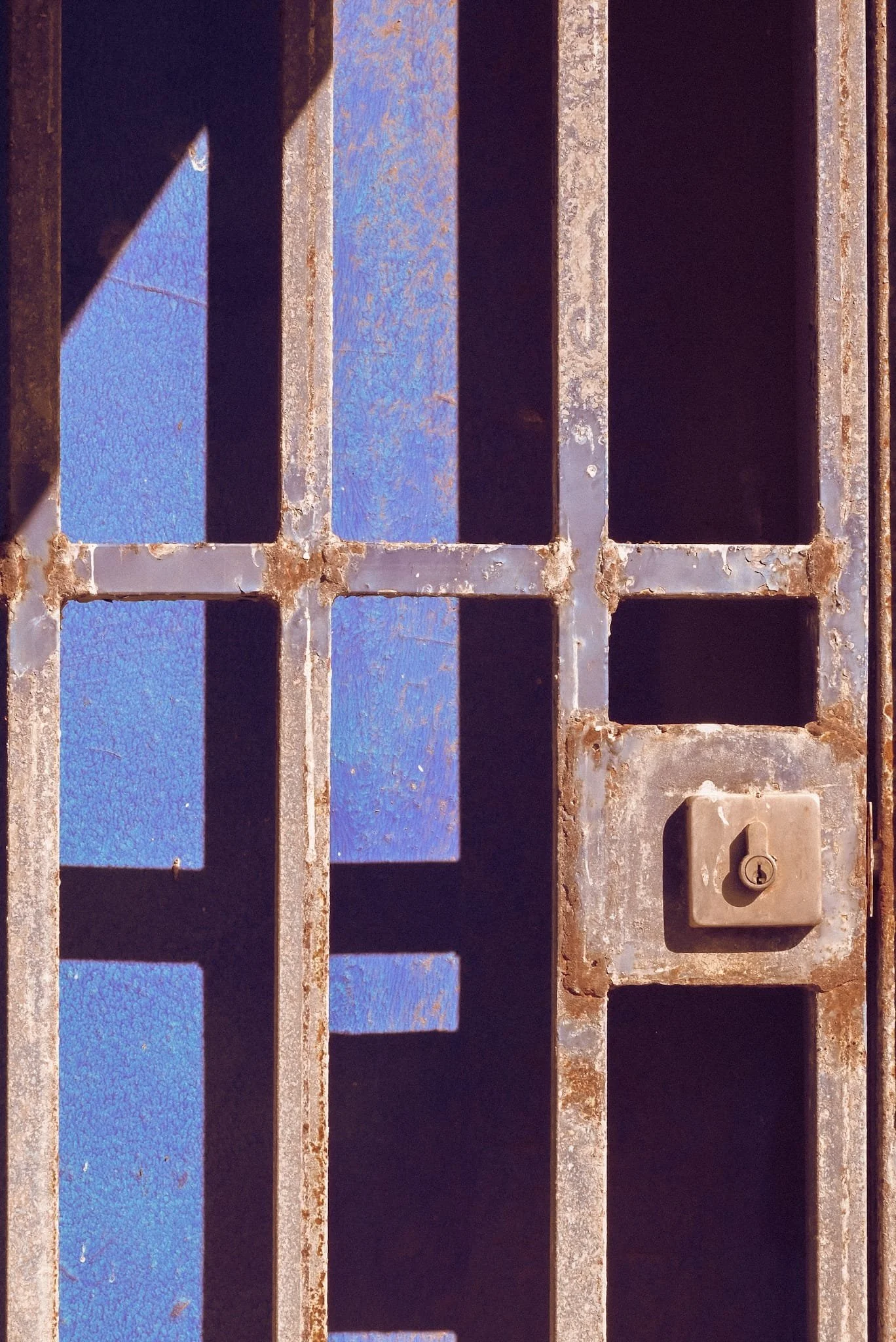 WhatsApp Image 2025-08-14 at 2.10.29 PM (2).jpeg