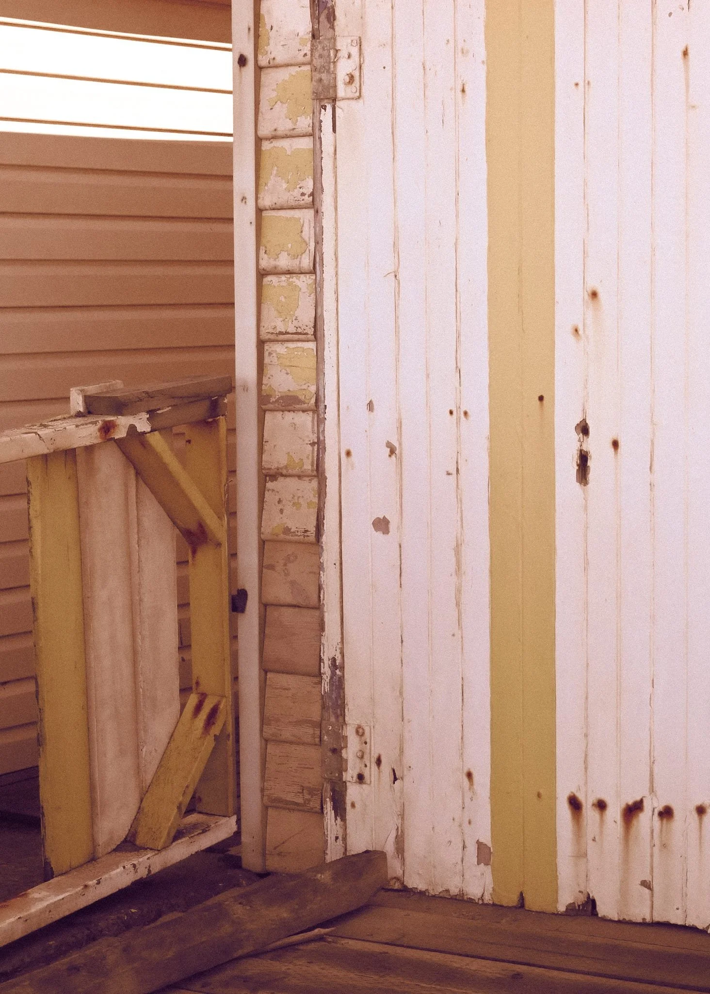 WhatsApp Image 2025-08-14 at 2.10.29 PM.jpeg