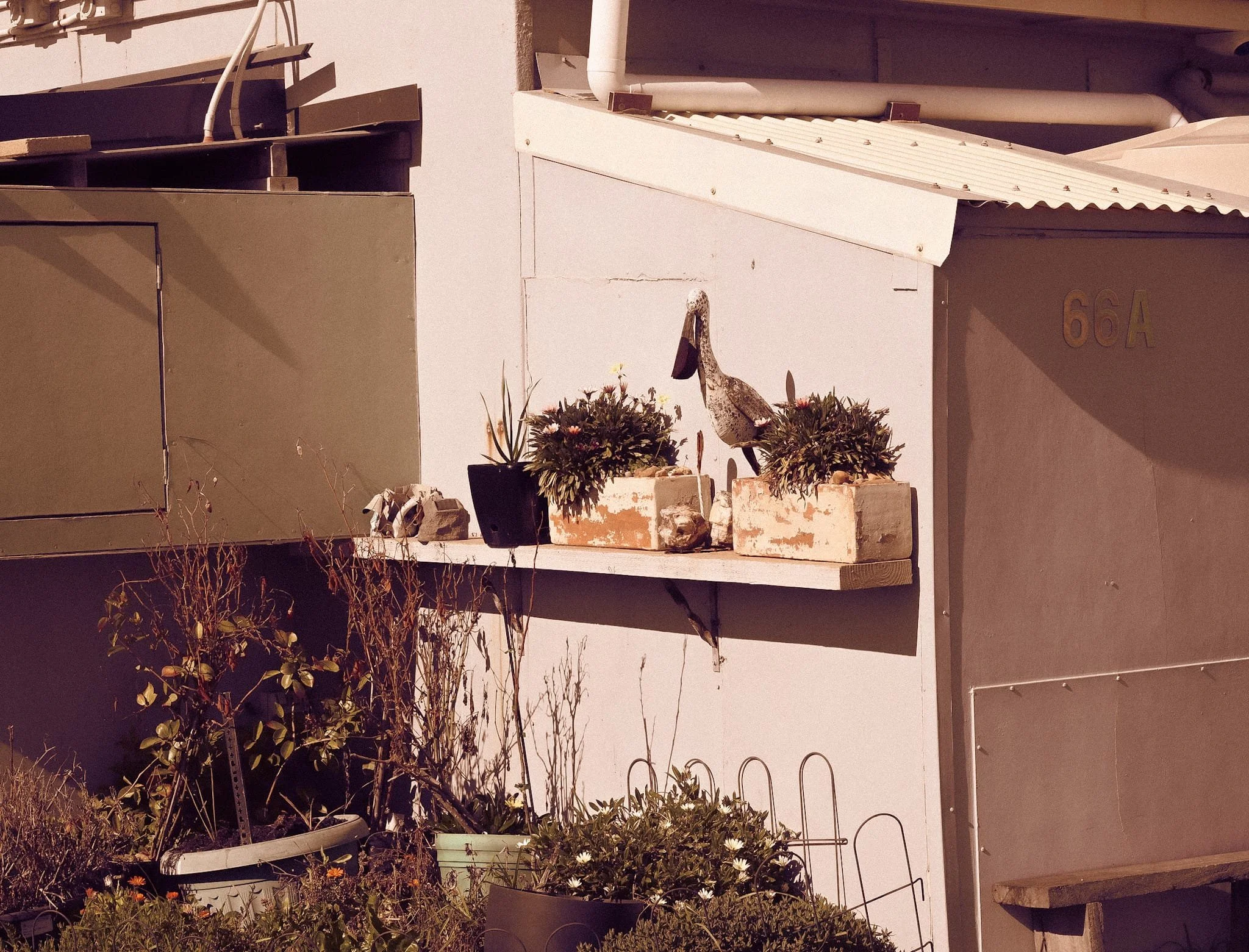 WhatsApp Image 2025-08-14 at 2.11.43 PM.jpeg