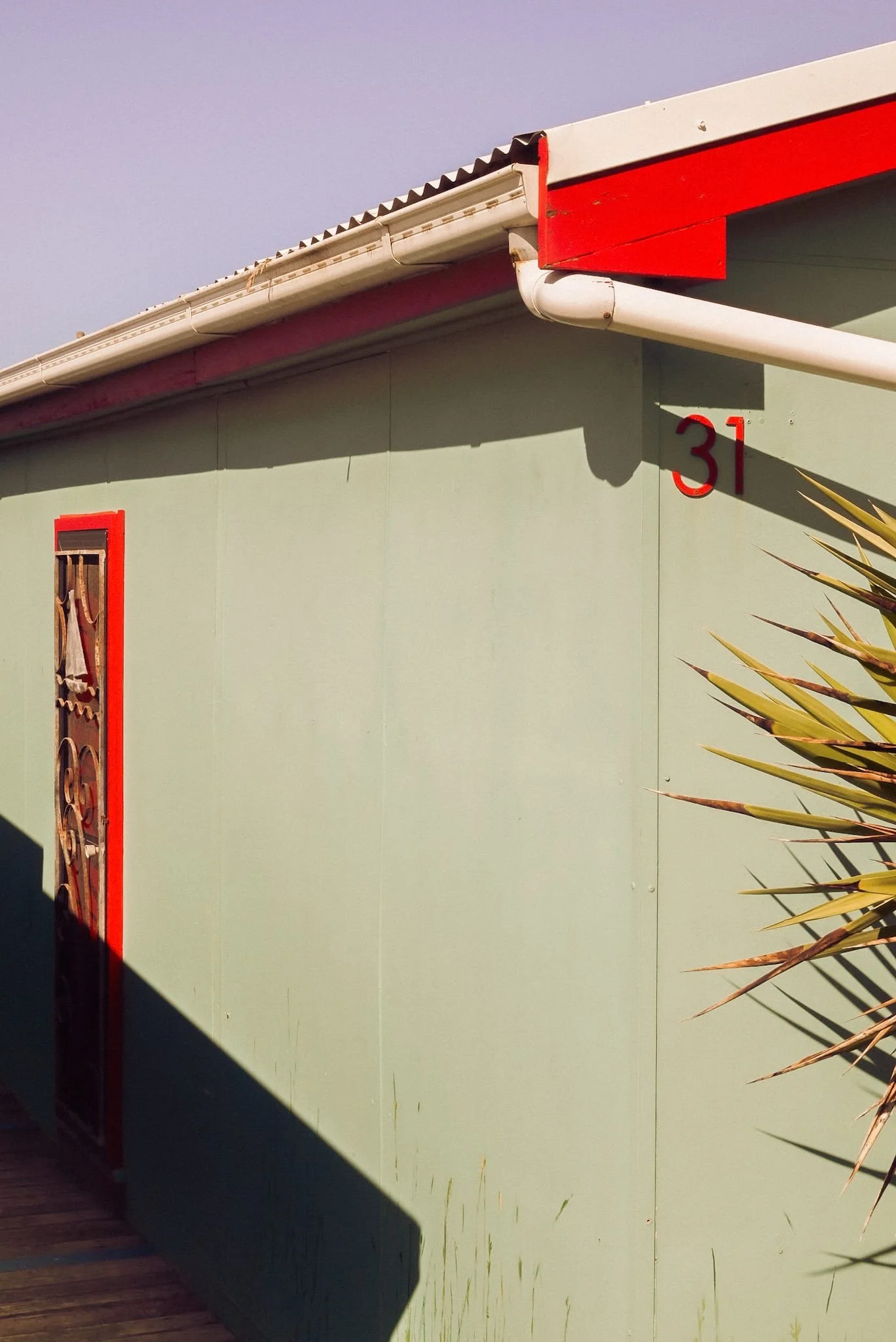 WhatsApp Image 2025-08-14 at 2.11.45 PM (2).jpeg