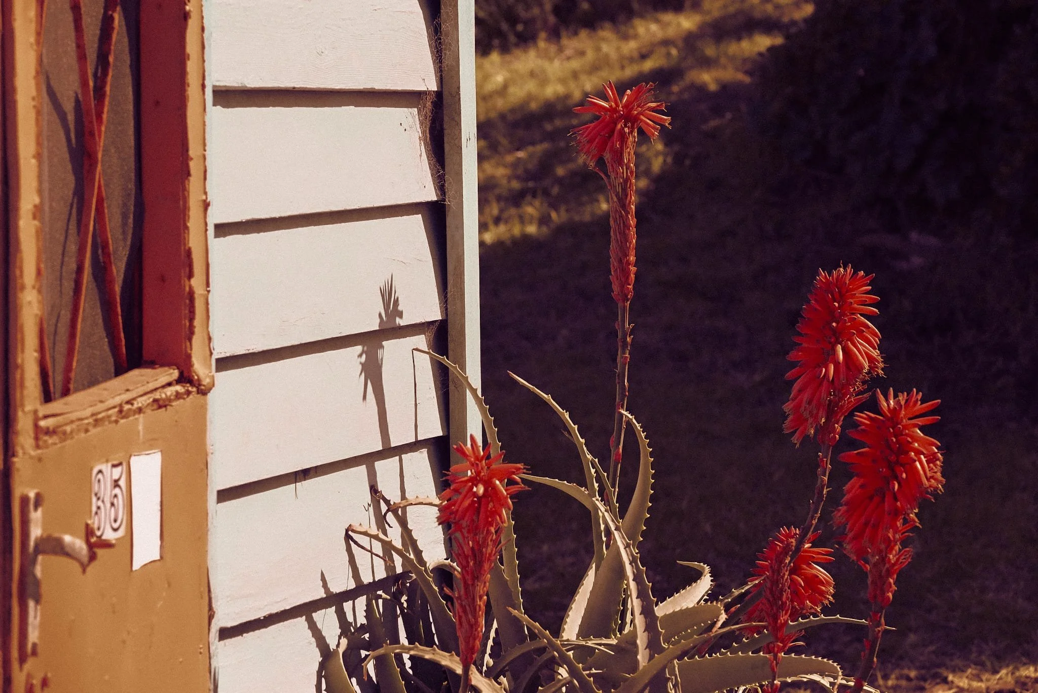 WhatsApp Image 2025-08-14 at 2.11.47 PM (1).jpeg