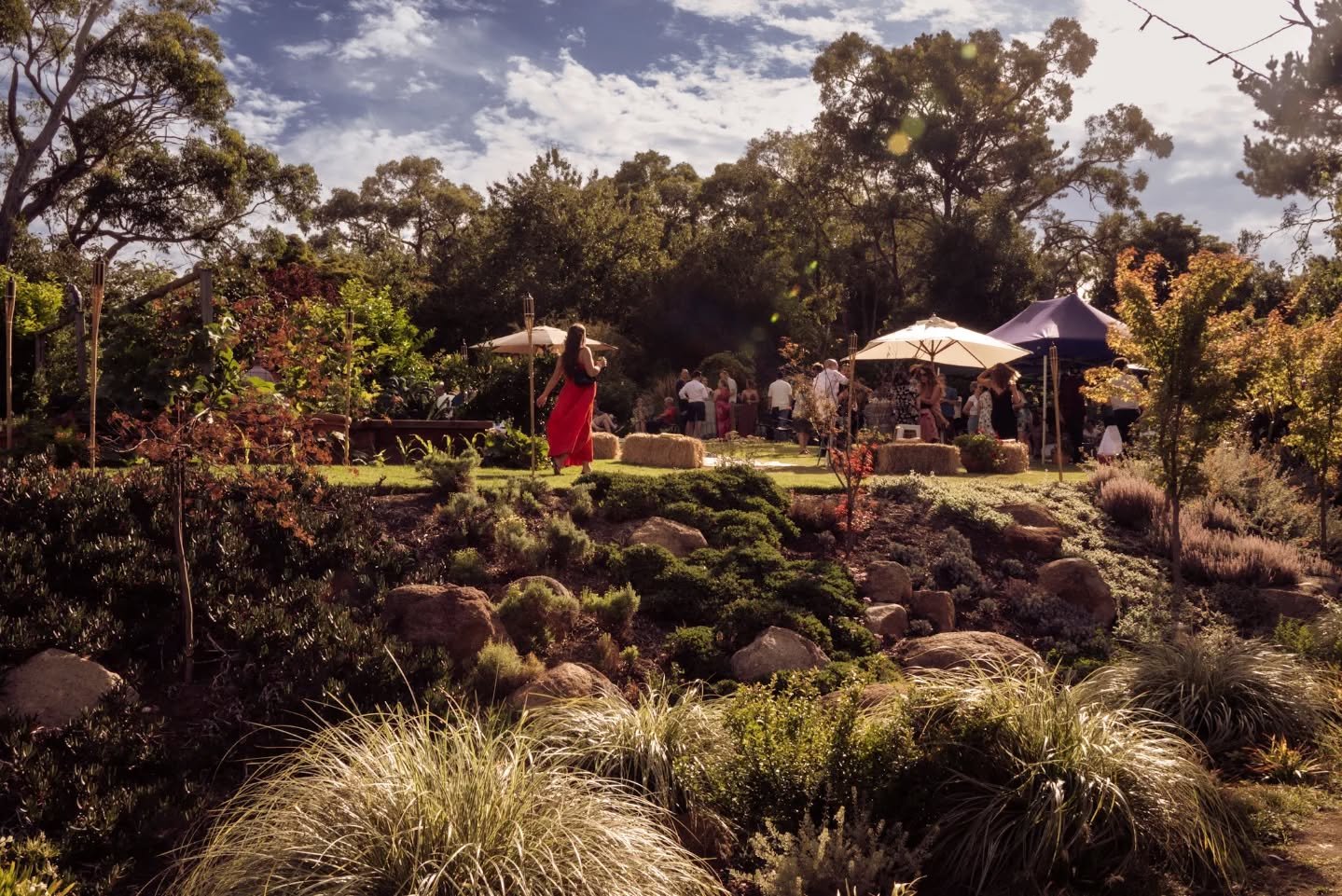 A view of the absolutely INCREDIBLE garden U + M's wedding was held in. This is the place of dreams!!

#immovingtoupperbeaconsfield