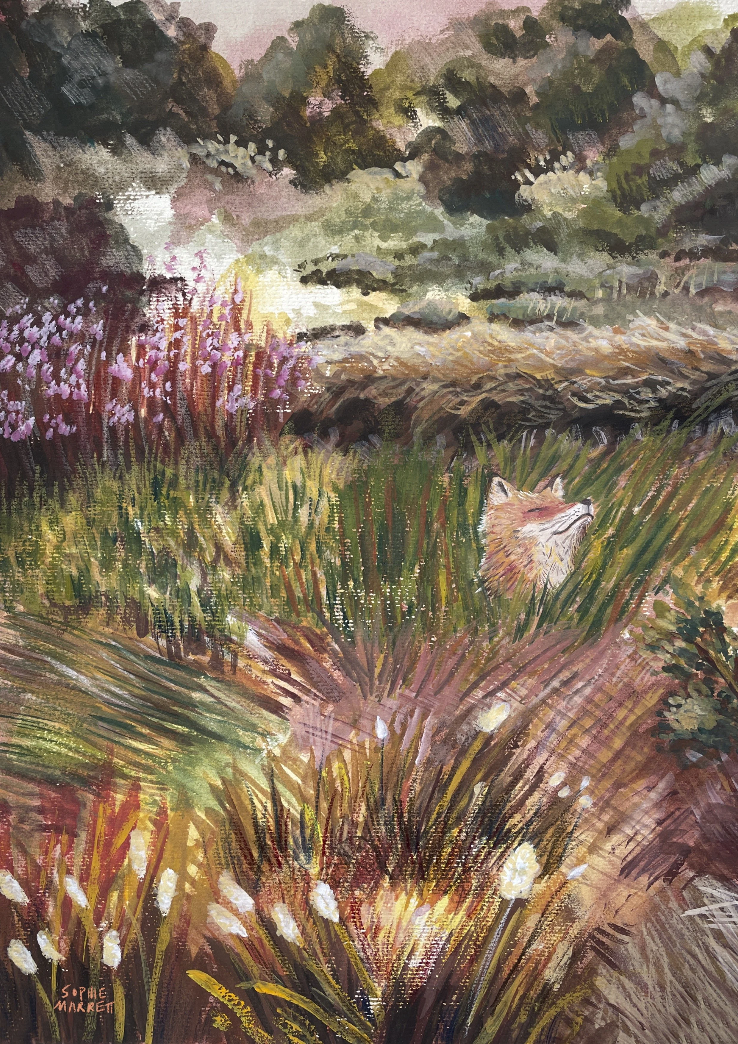 Fox Print.jpg