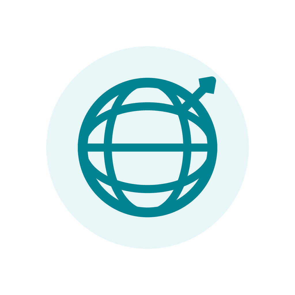 Icon of a globe with an arrow circling around it, representing global or international travel or connectivity.