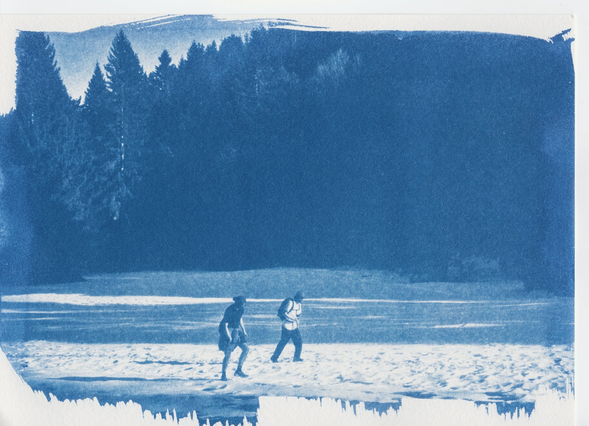 Cyanotype, négatif sur papier Arches 200mg