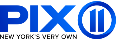 Blue NASA logo with