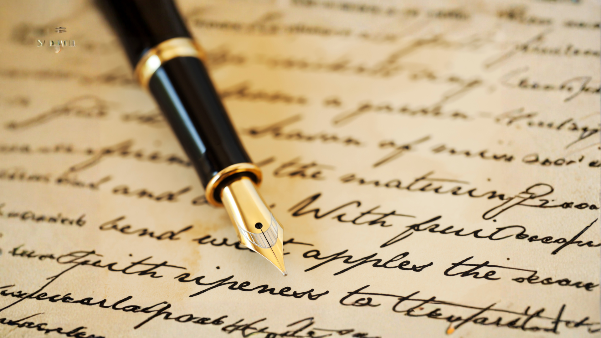 A Letter to My Younger Self: Reflecting Beyond Performance, Comparison, and Perfection