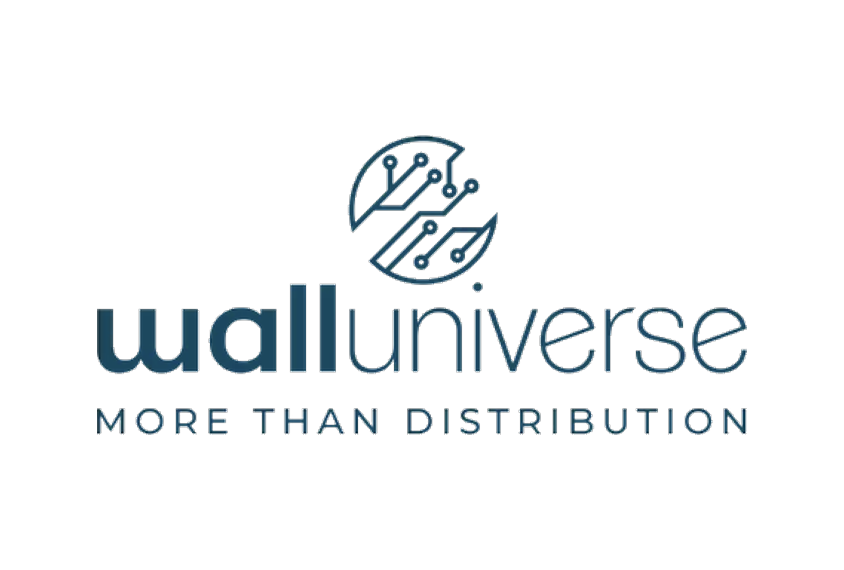 Wall Universe