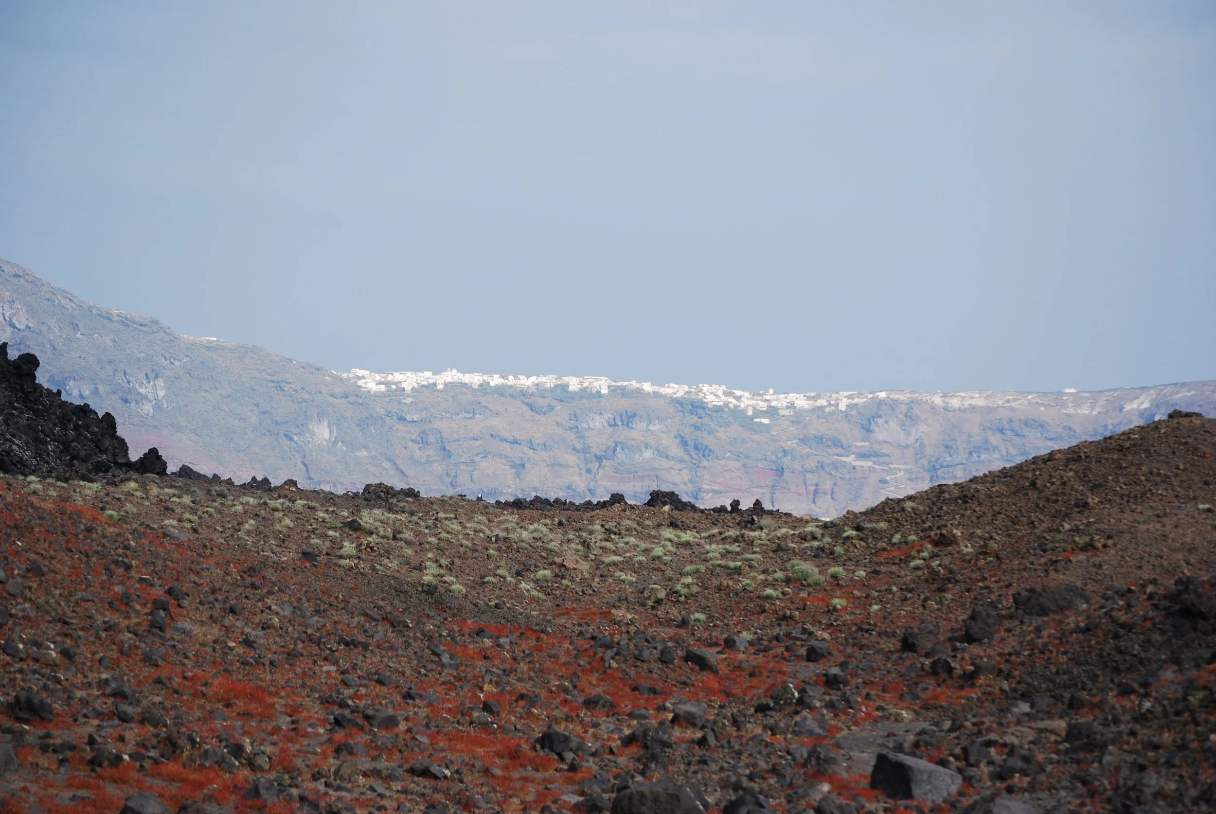 DSC_0498.jpg