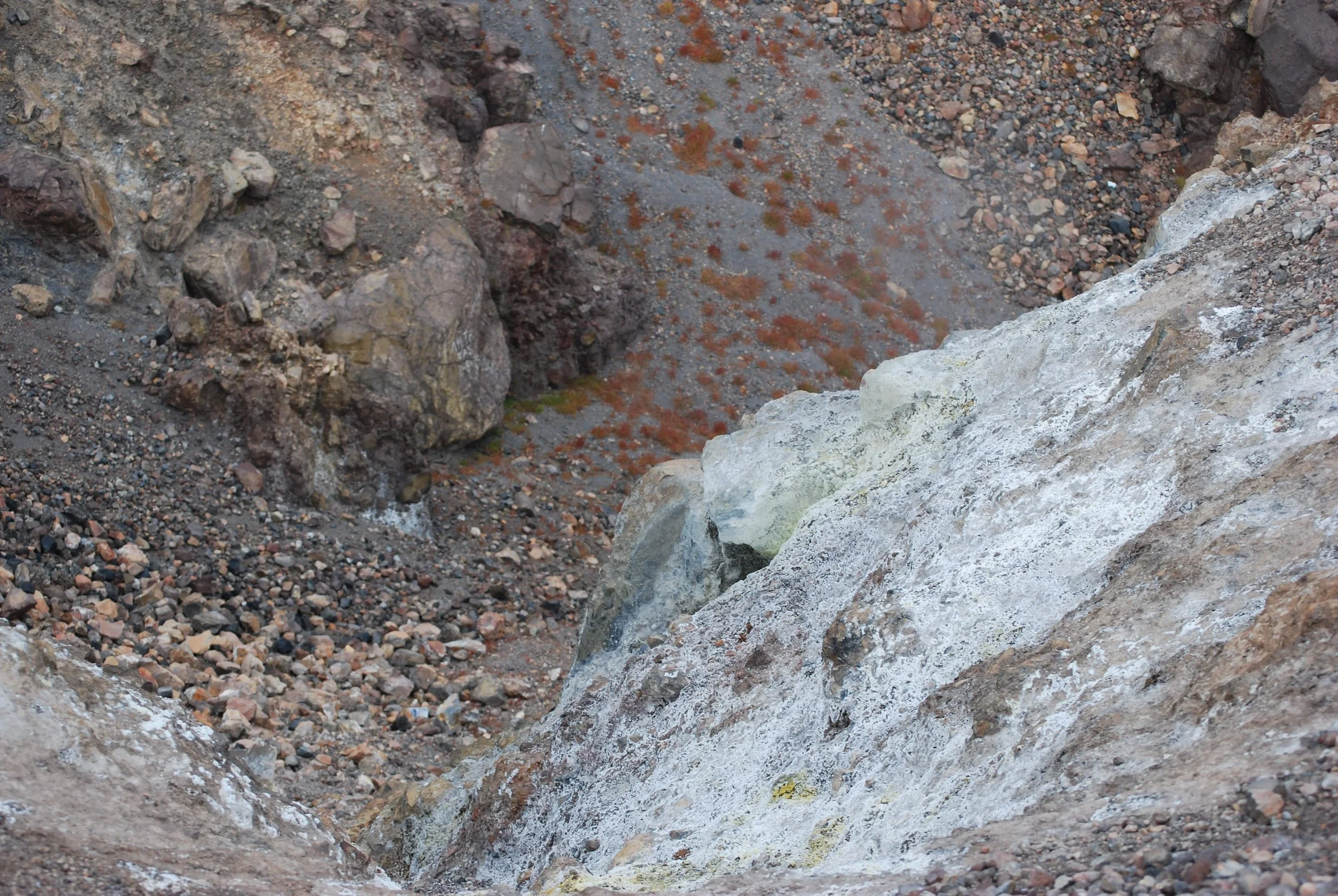 DSC_0503.jpg