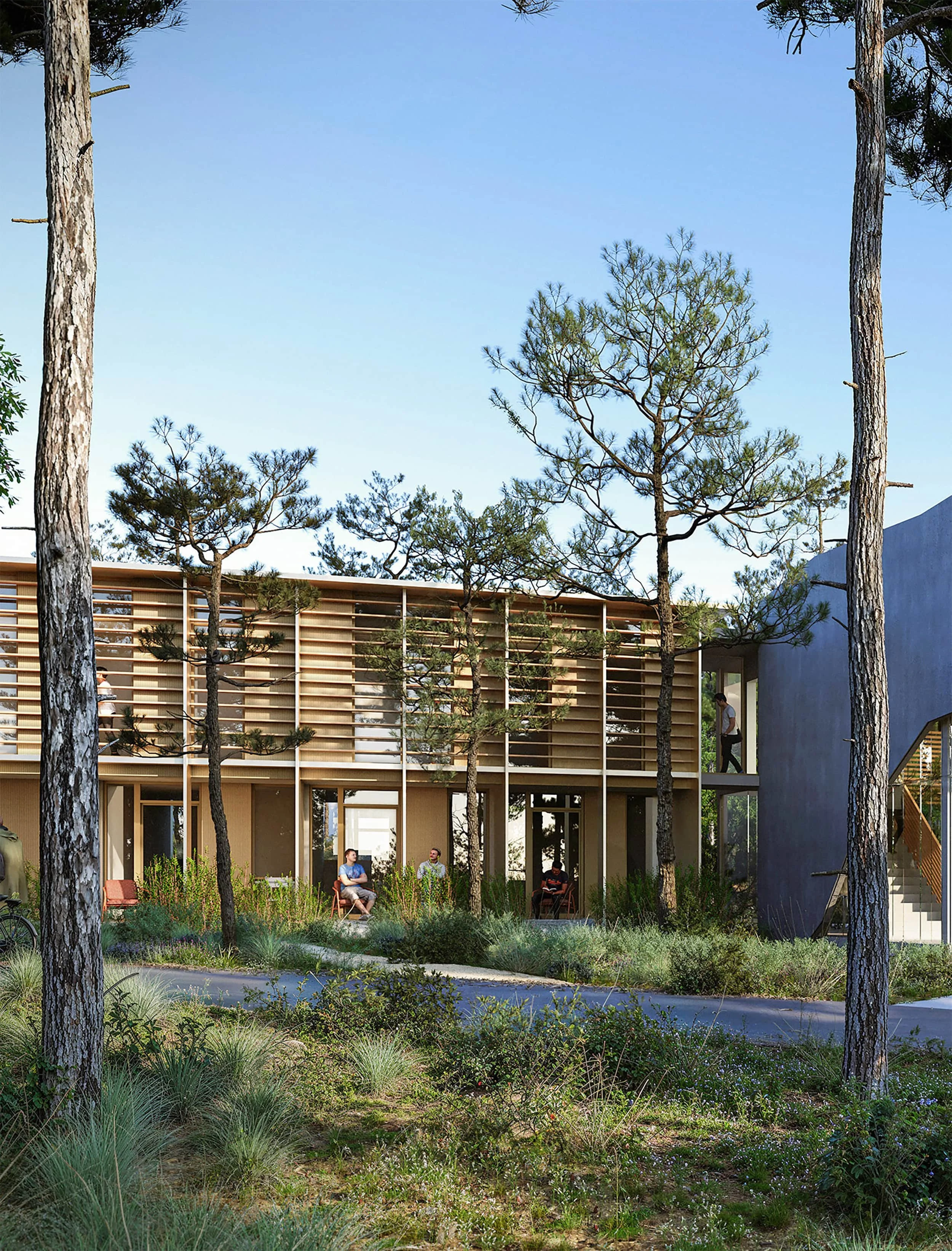 Modern building with wooden and metal facade, surrounded by tall pine trees and desert plants, with people sitting and walking outside.