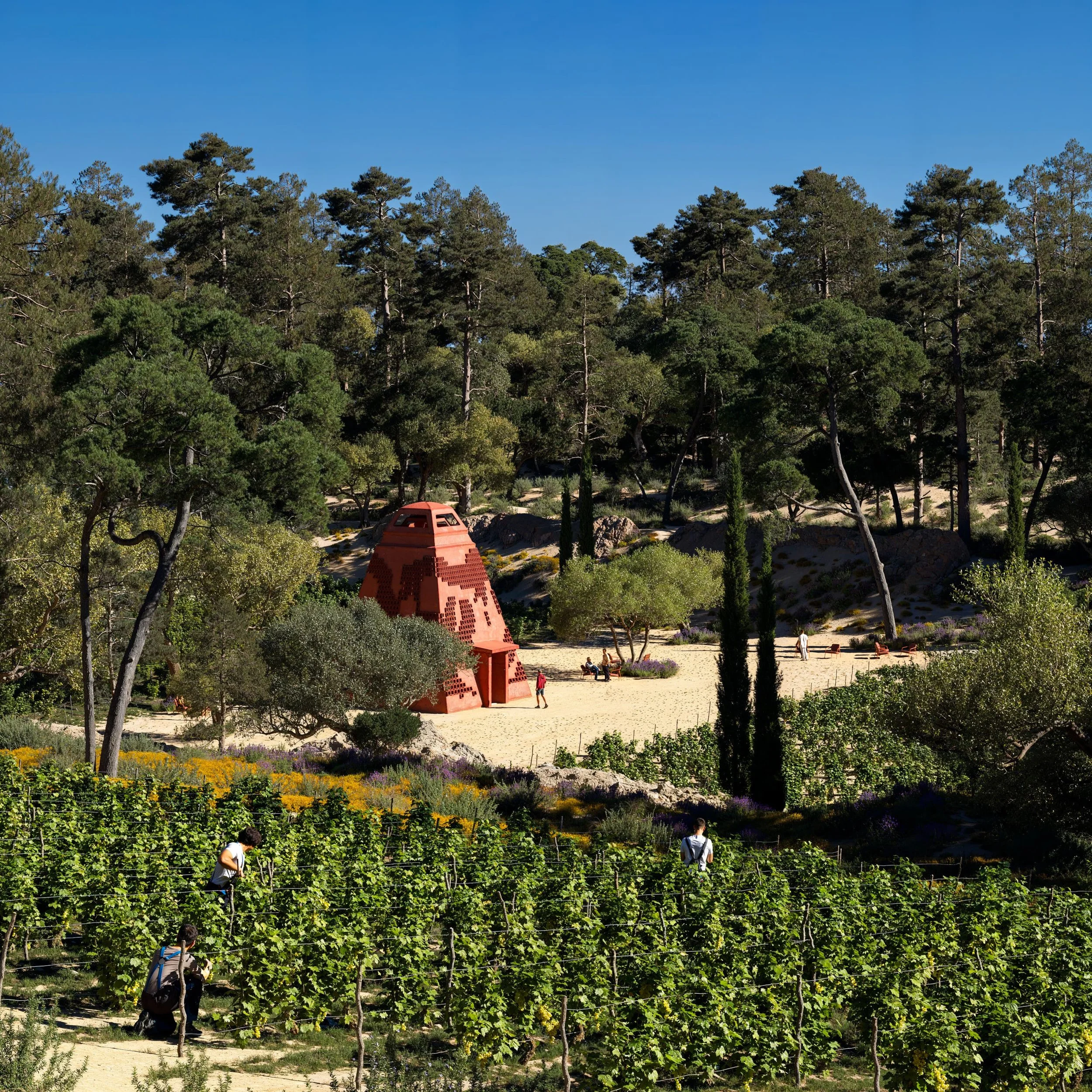 Vineyard with tall green vines in the foreground, people walking among the vines, a unique red brick-shaped structure, trees and forest behind it, and a clear blue sky.