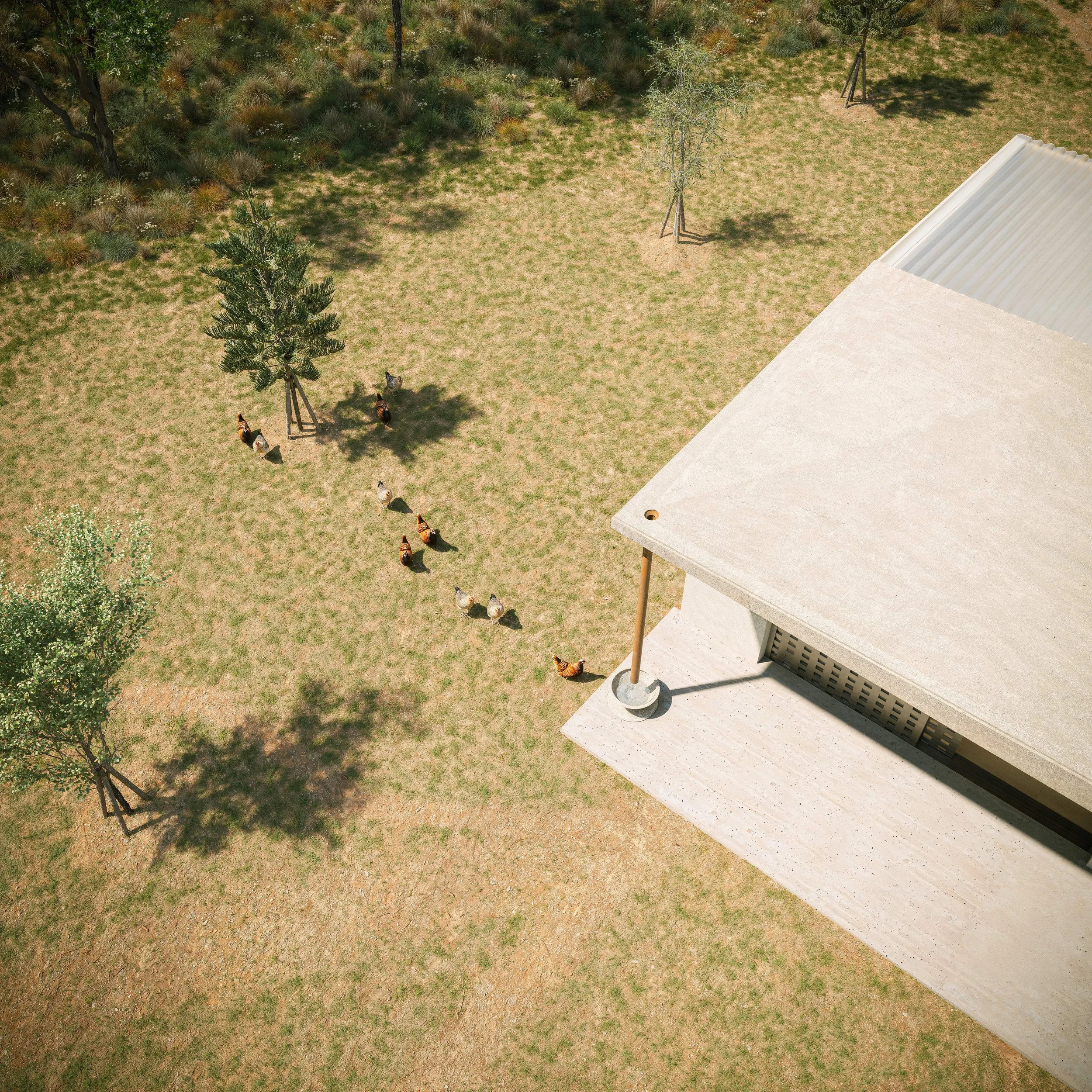 Australian_architecture_garden_project_NDA_real-estate_01.jpg