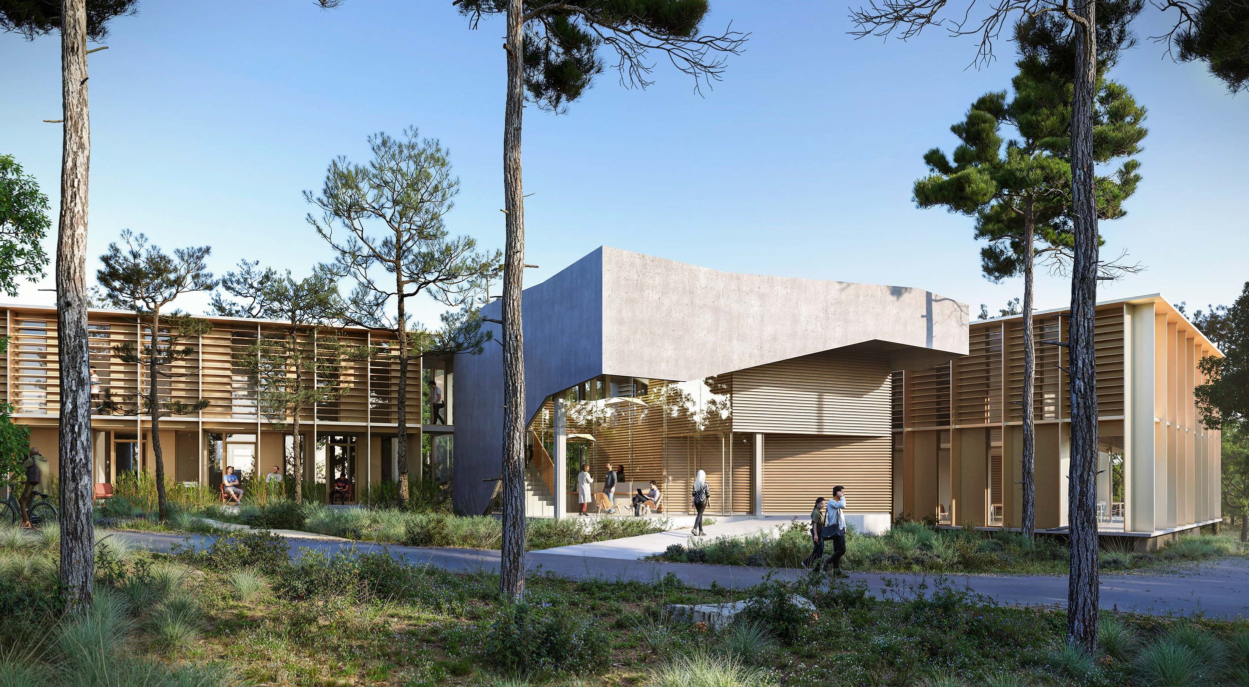 A modern multi-story building with wooden slats and concrete features, surrounded by tall trees and greenery, with people walking and sitting outside.