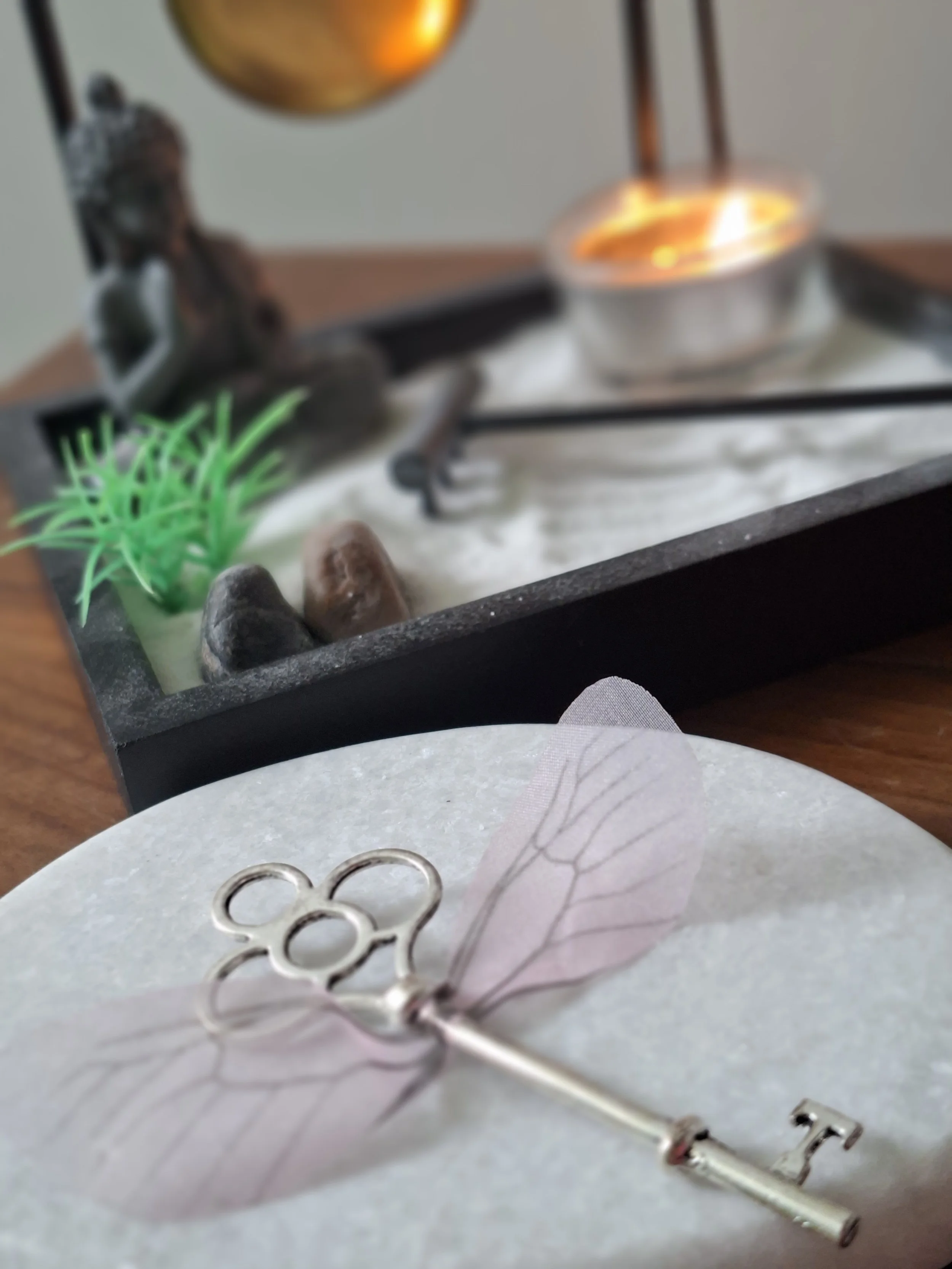 Lors d'un soin, d'un tirage, vient remettre de la lumière dans les zones d'ombres, et repart avec des clefs pour agir !!!