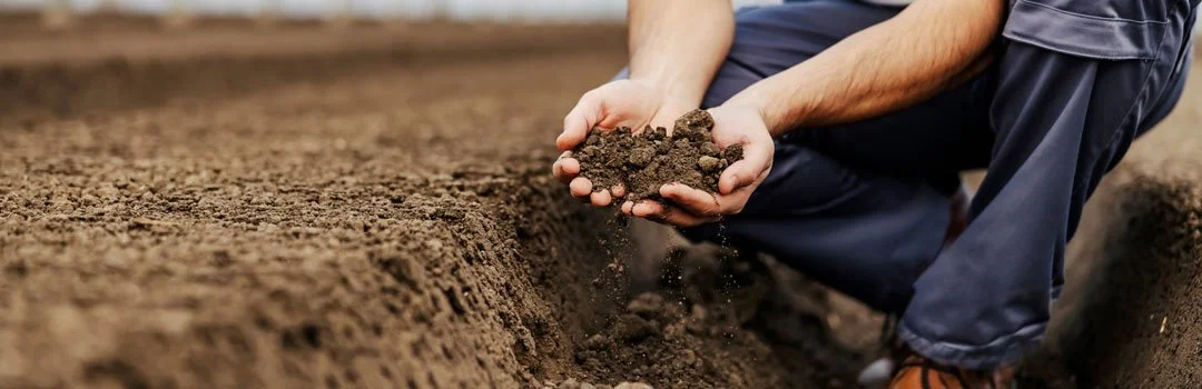 Soil health is now a livestock issue, not just an arable one