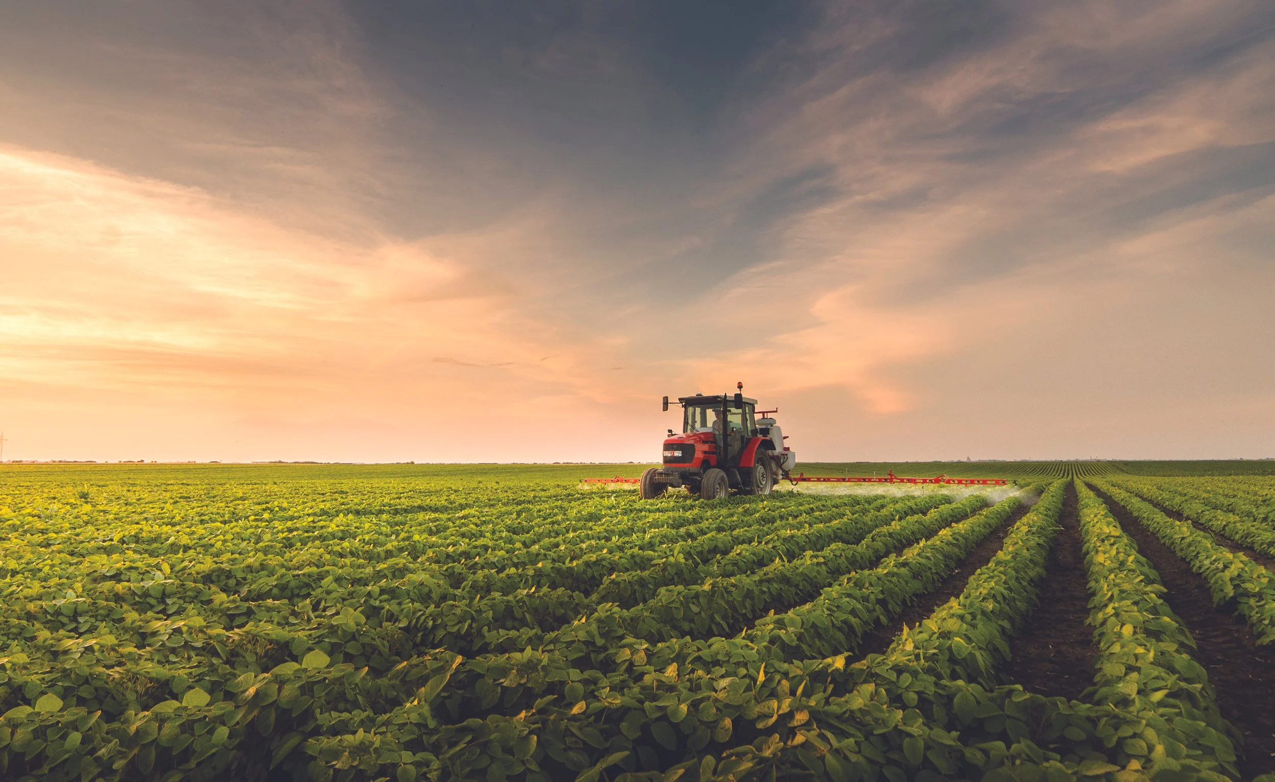 The hidden consequence of fertiliser cuts: Poorer animal performance later in 2026