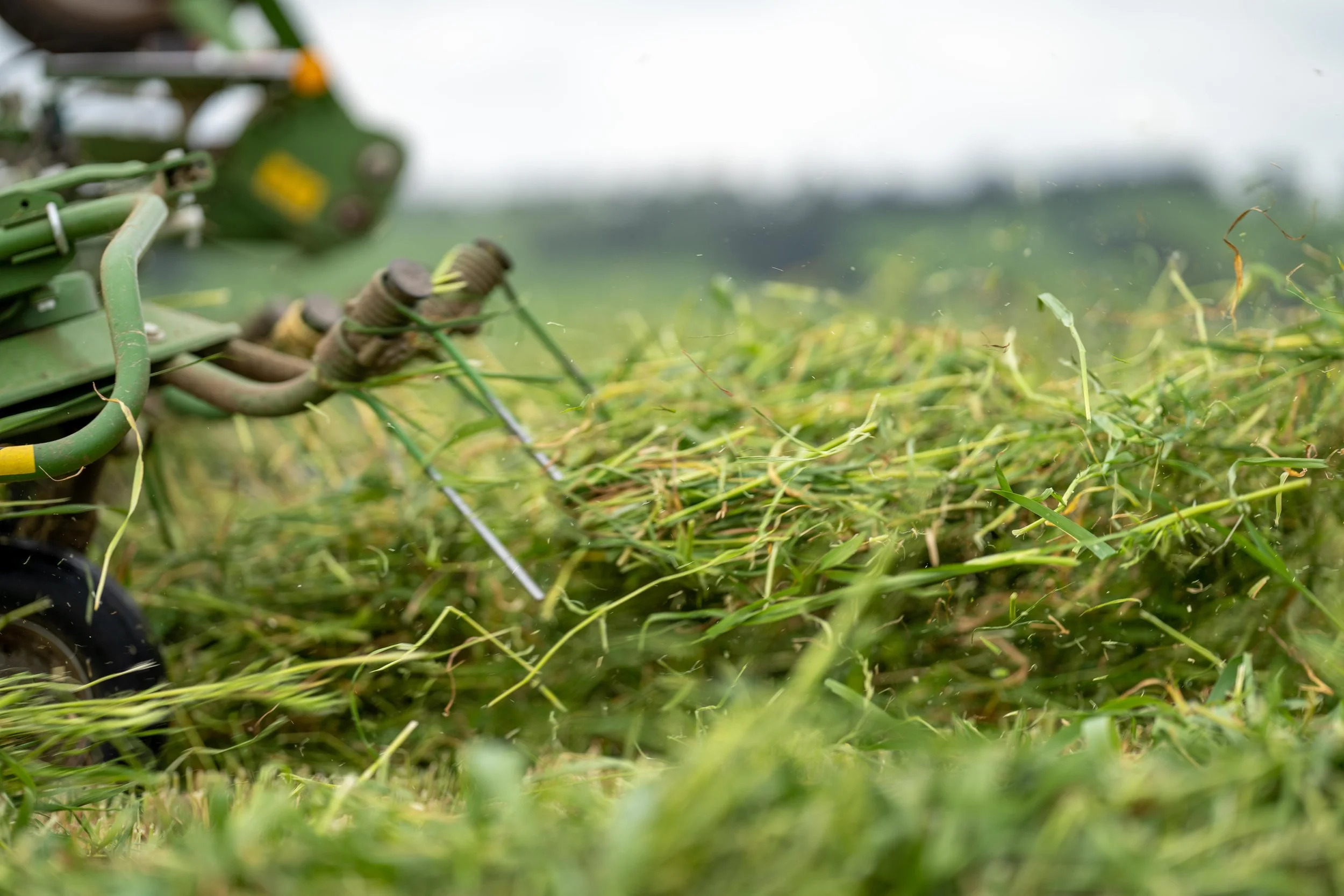 Make the most of what you have Part 3: Good Silage or Great Silage