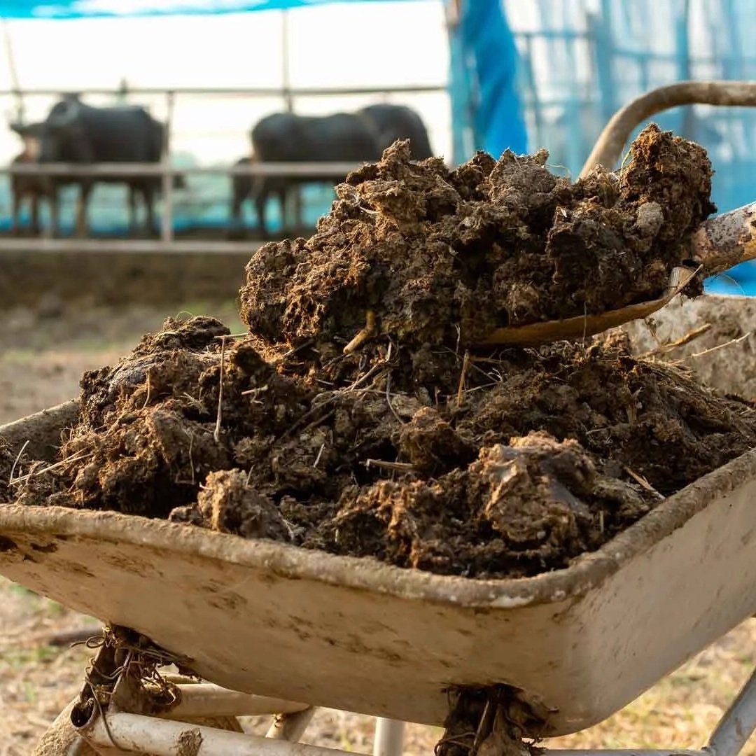 use actiferm with manure to enhance its nutrient properties