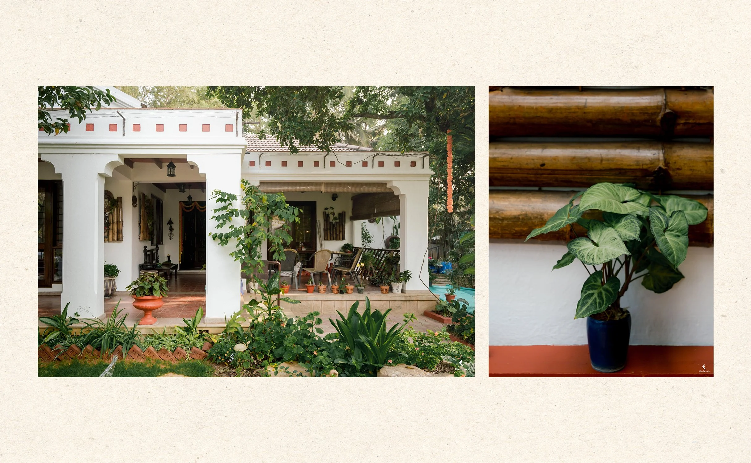 A patio with white columns, potted plants, and outdoor furniture adjacent to a garden, and a close-up of a potted ivy plant against a bamboo wall.