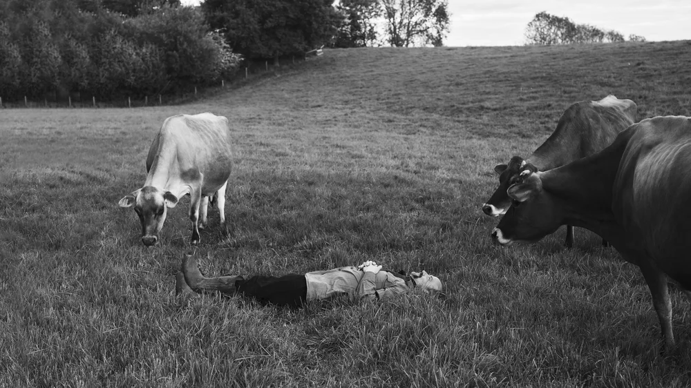Capability Graham | Farming, Food & Floral